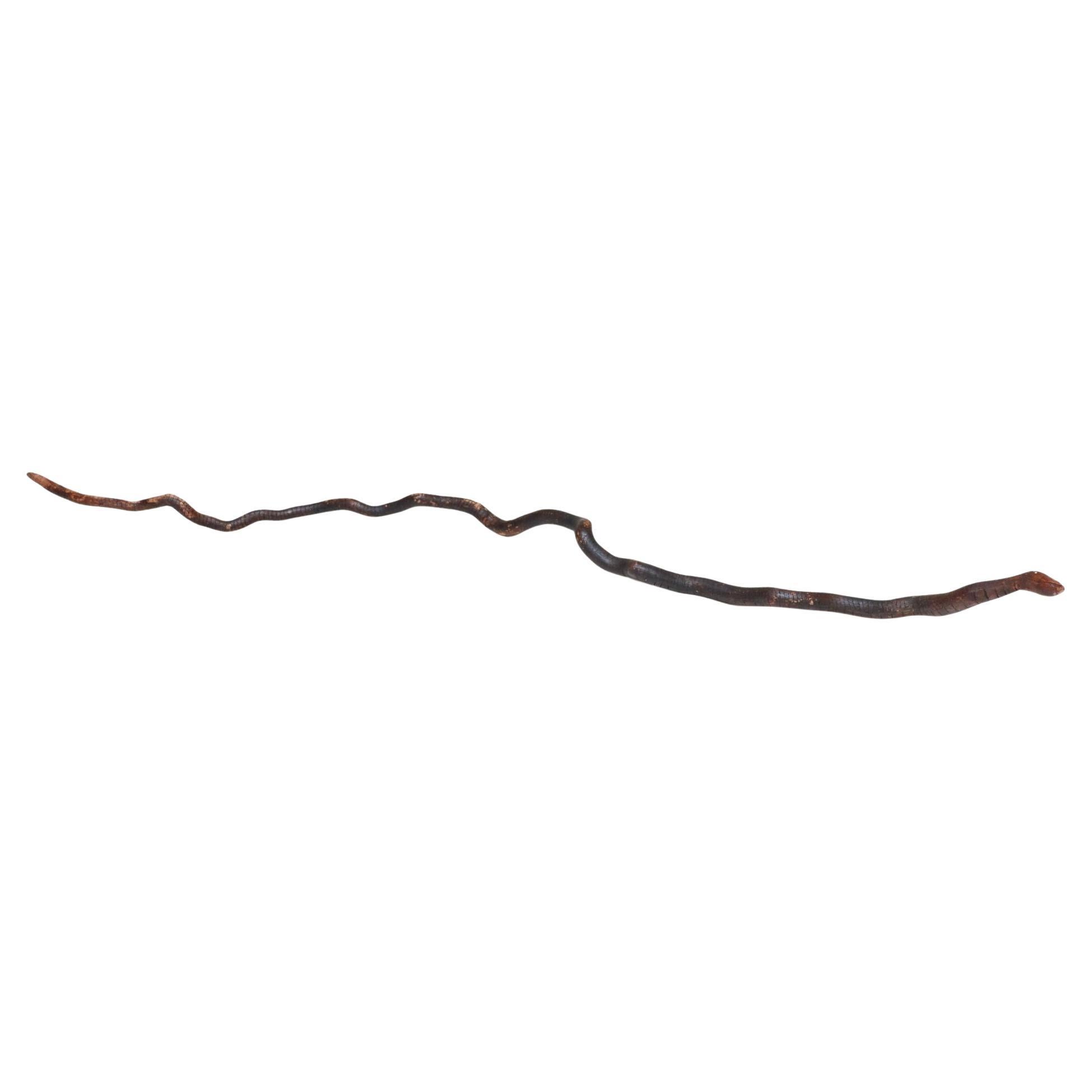 American Folk Art Hand-Carved Wooden Spindly Snake Sculpture