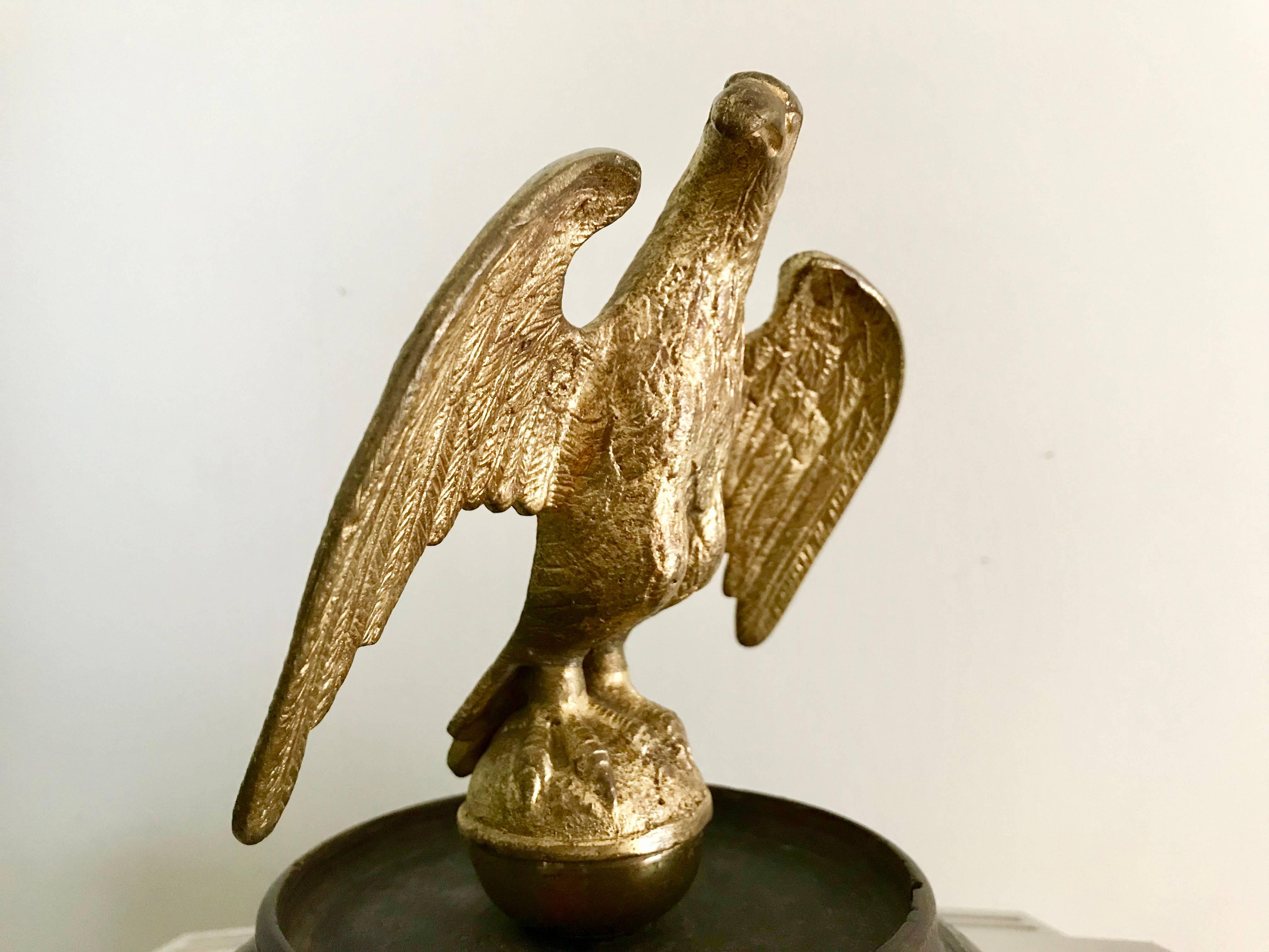 bronze wings