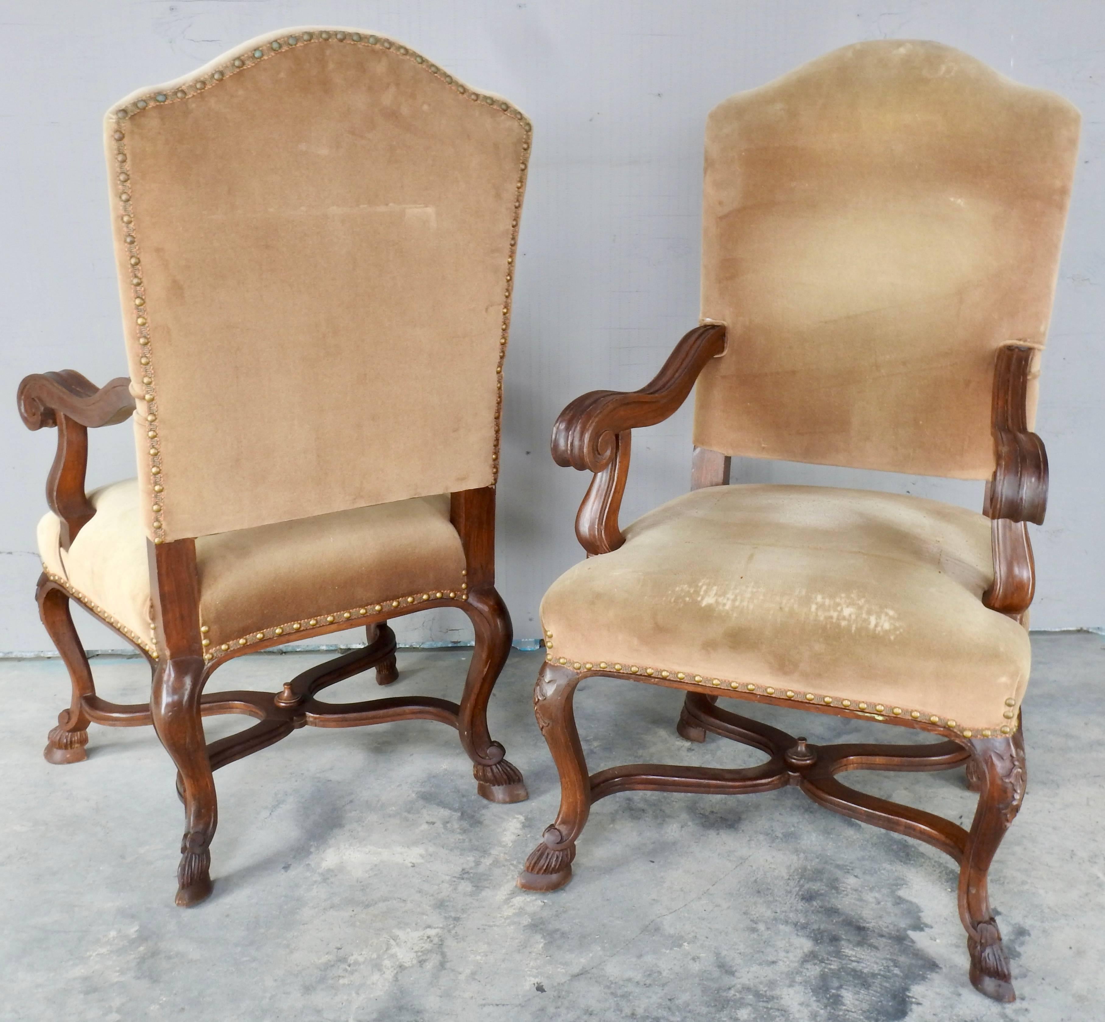 Pair of goat feet chairs feature remarkable carving. Richly carved knees along with scrolled arms add to the character of these chairs. Rich natural tone fabric has brass nailhead trim on top of gimp trim.