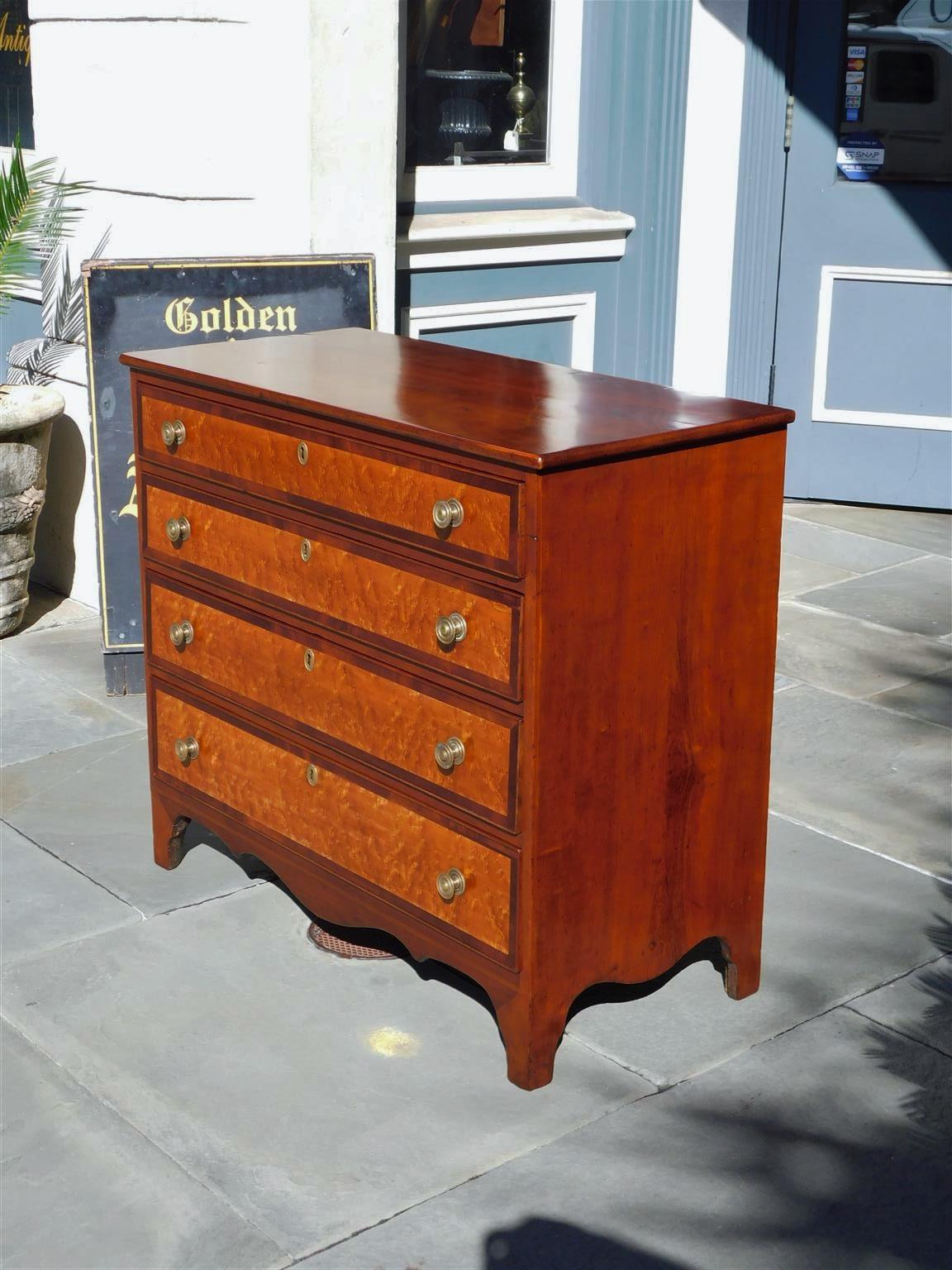 American Hepplewhite cherry and birds eye maple chest with a carved molded top, four graduated drawers. mahogany cross banding, circular brass knobs with escutcheons, scalloped skirt with box wood string inlay, and resting on the original bracket