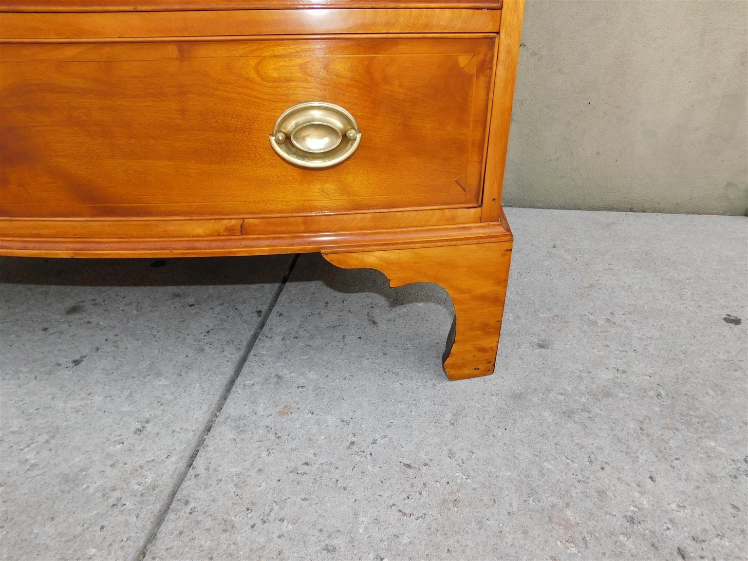 Cassettiera americana graduata in acero Hepplewhite su piedi a staffa, VA C 1790 in vendita 8