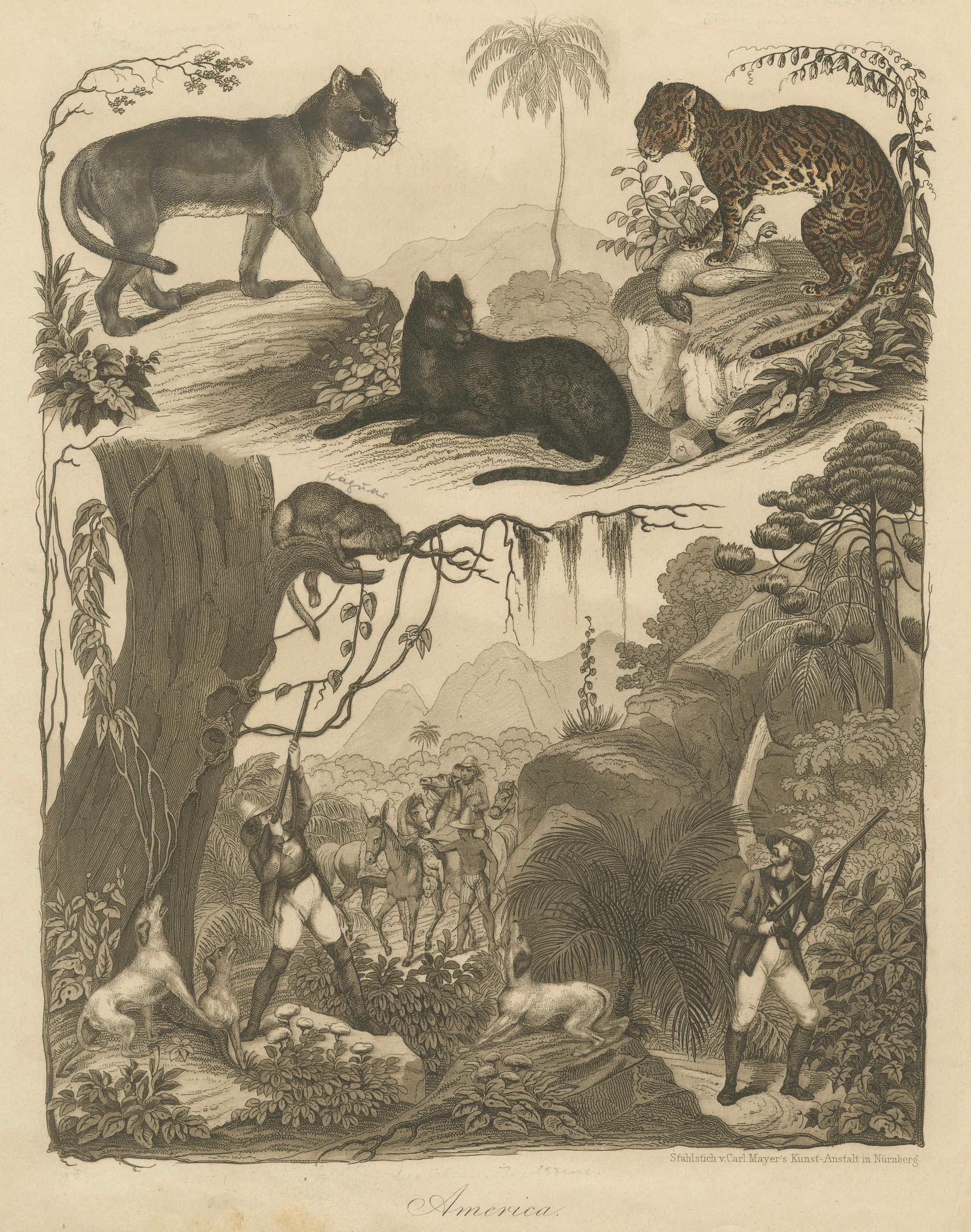 American Wild Cats and Hunters – Antique Engraving by Mayer c.1840

This is an impressive 19th-century steel engraving titled 'America', published by Carl Mayer’s Kunst-Anstalt in Nuremberg around 1840–1850. The engraving depicts an exotic composite