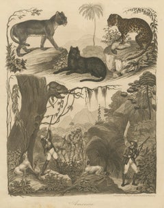 American Hunters and Wild Cats – Antique Mayer Engraving c.1840