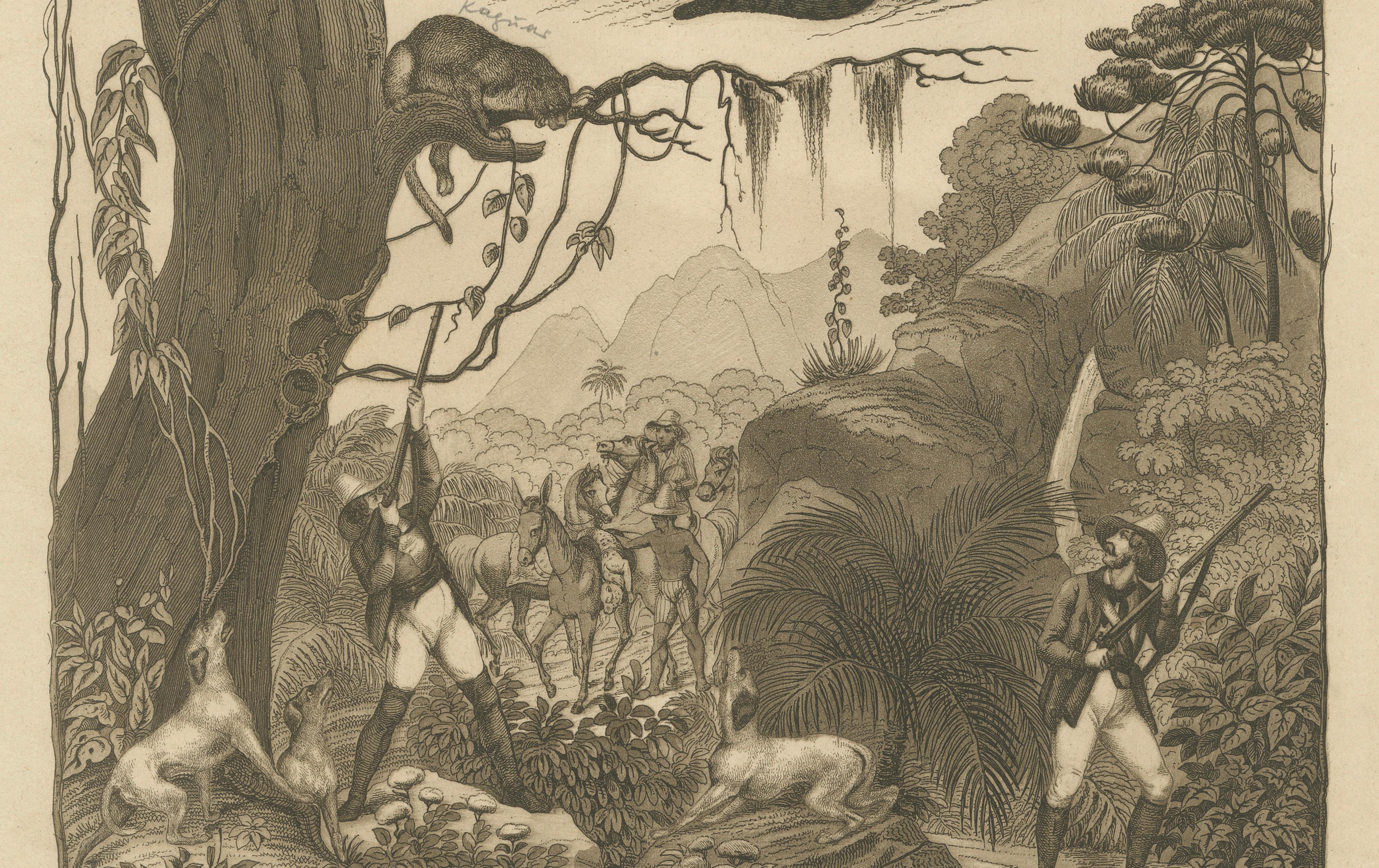 Engraved American Hunters and Wild Cats – Antique Mayer Engraving c.1840 For Sale