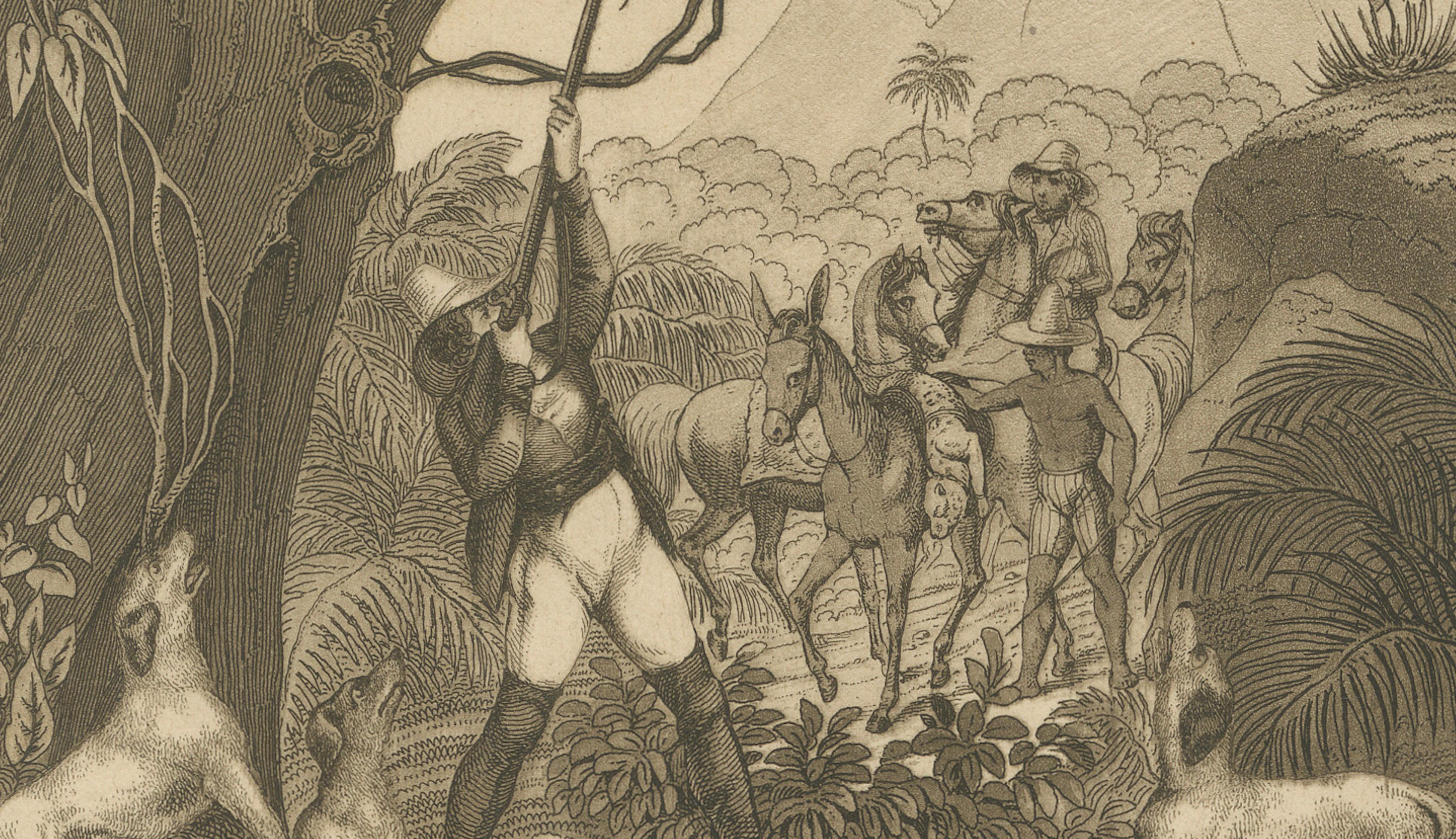 19th Century American Hunters and Wild Cats – Antique Mayer Engraving c.1840 For Sale