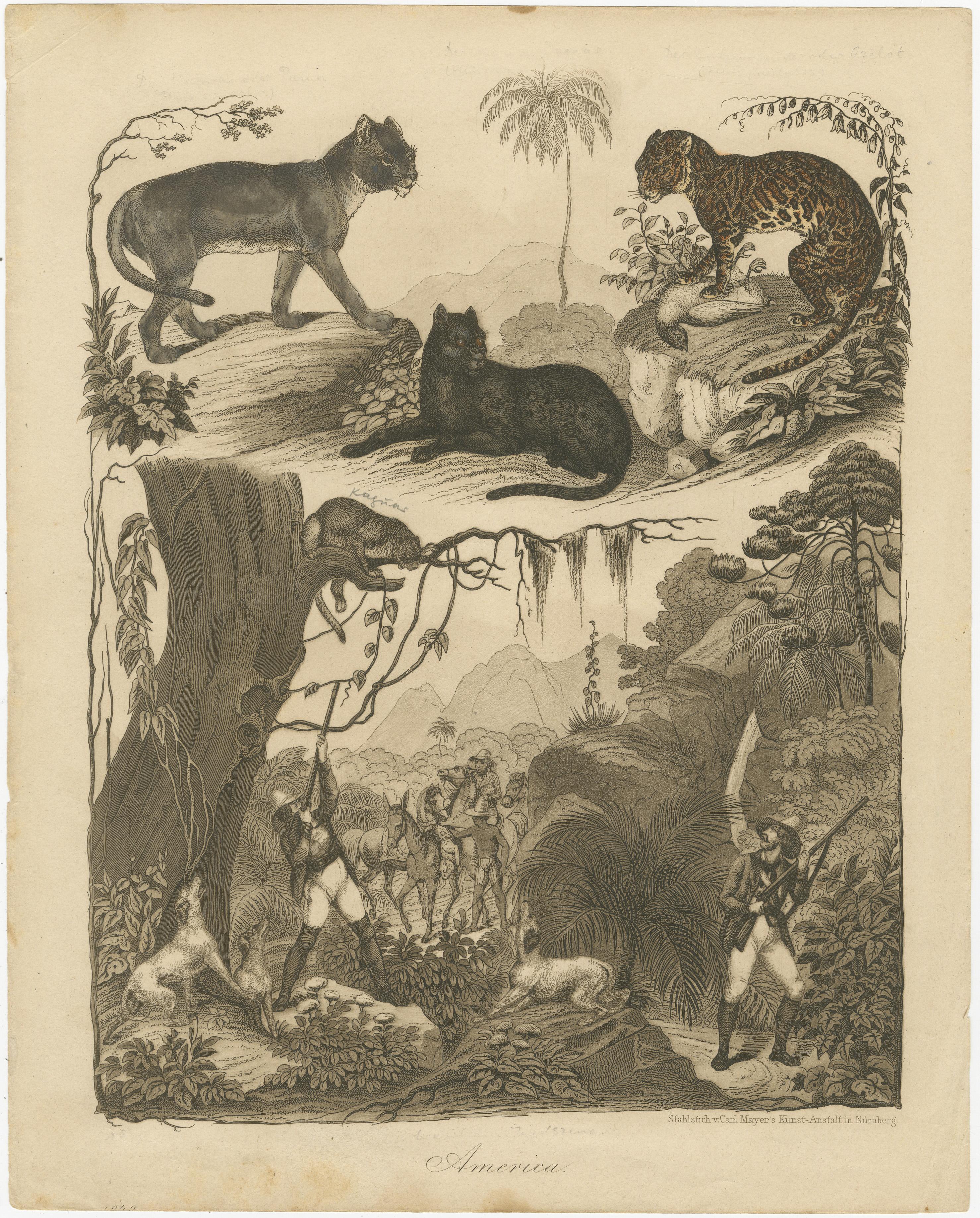 Paper American Hunters and Wild Cats – Antique Mayer Engraving c.1840 For Sale