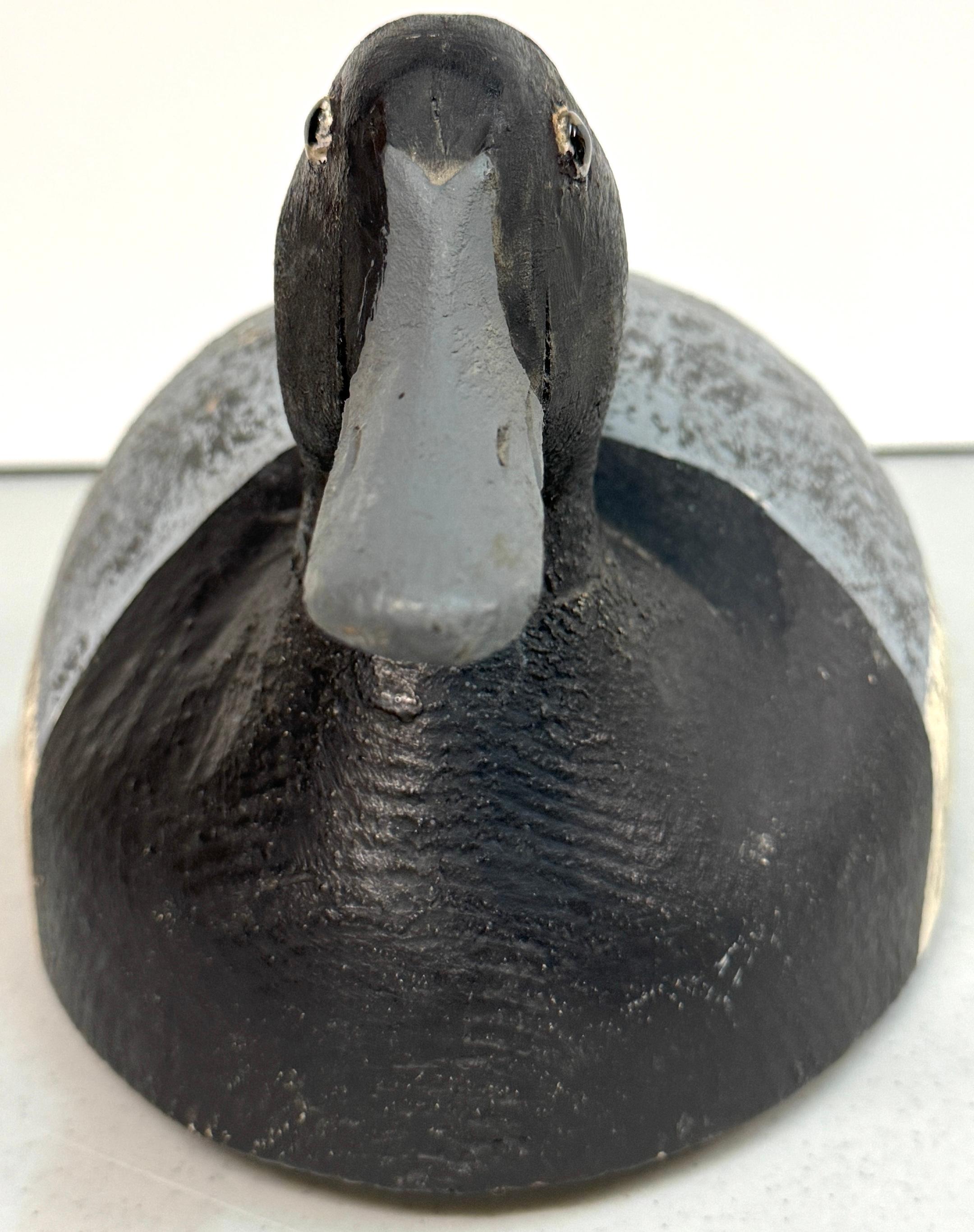 20th Century American Hunting Decoy 'Patches' with Glass Eyes and Metal Link Latch For Sale