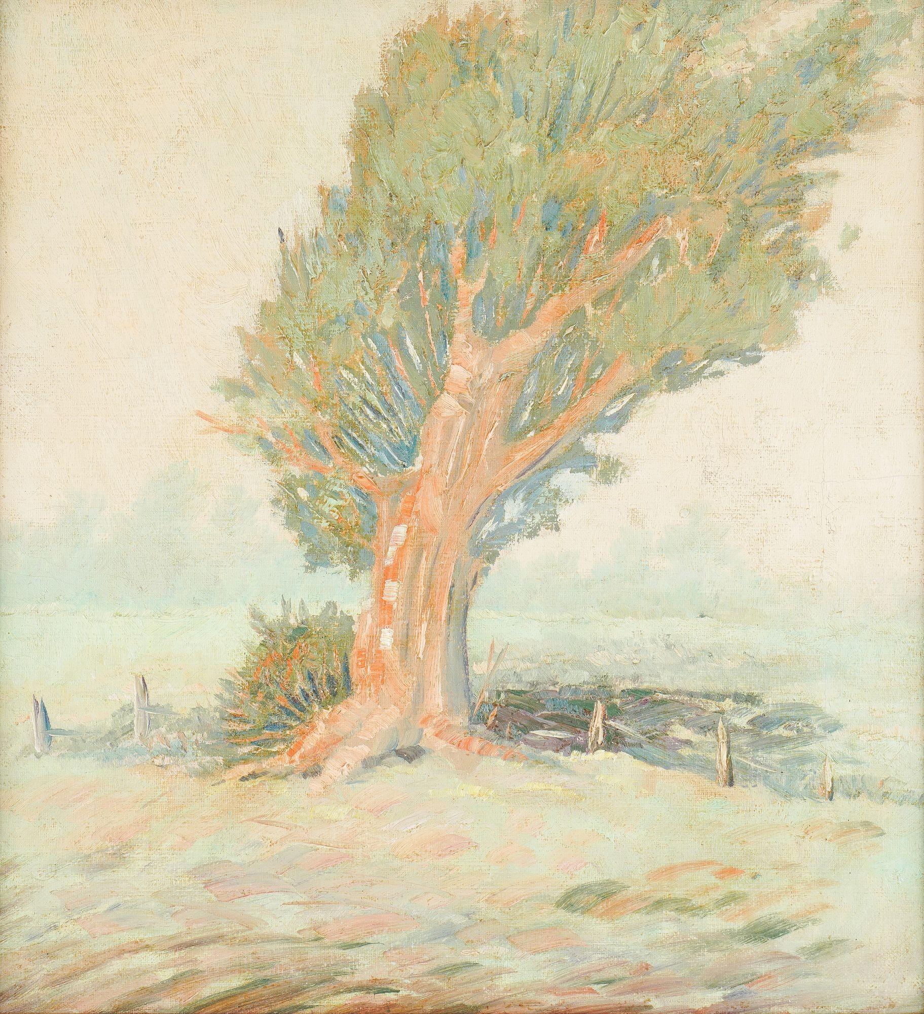 Unsigned oil on canvas California plein-air Impressionist landscape study of a California cypress tree on the fence line of a field. The palette is in shades of light green and apricot. The painting is framed in a maple molding with traces of gilt