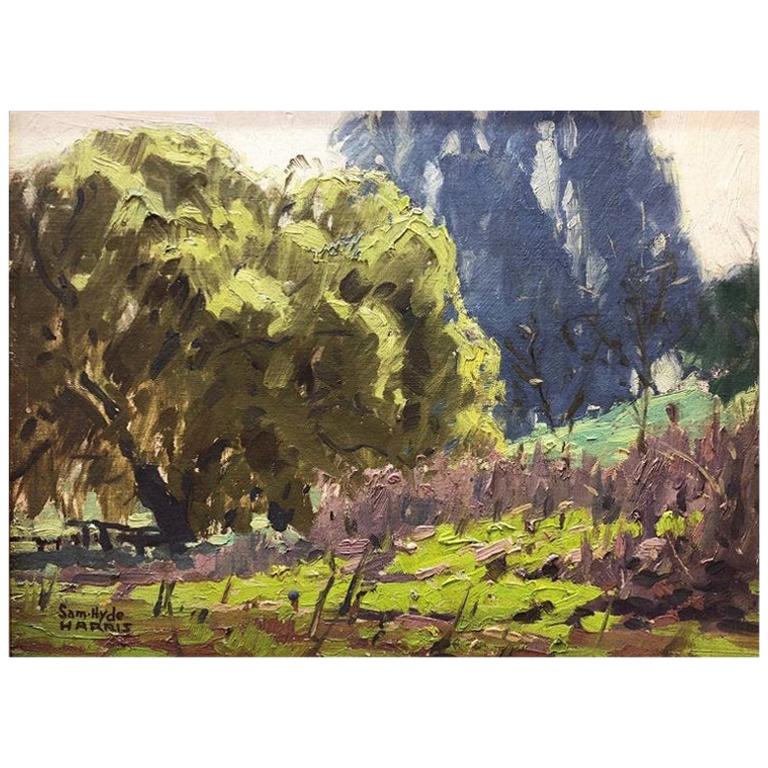 American Impressionistic Landscape by Sam Hyde Harris For Sale