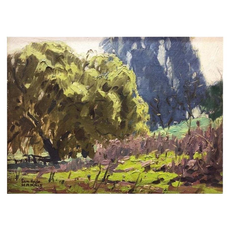 American Impressionistic Landscape by Sam Hyde Harris For Sale