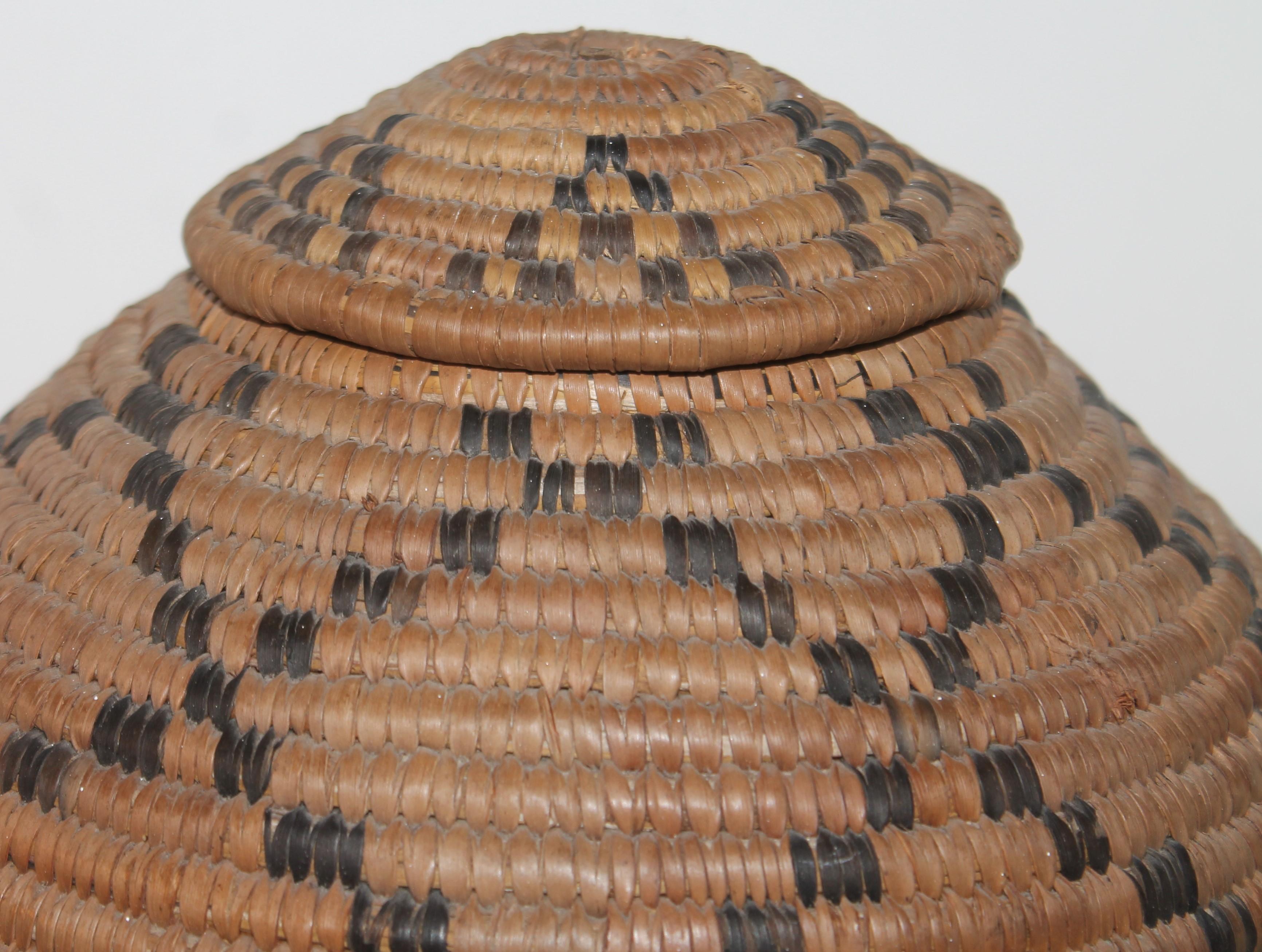 American Indian folk art Native American basket that is hand woven and coiled. It has been vegetable dyed and the basket lid is removable. The interior reinforcement of the lid is made from shaven pine to strengthen the hold of the lid to the basket.