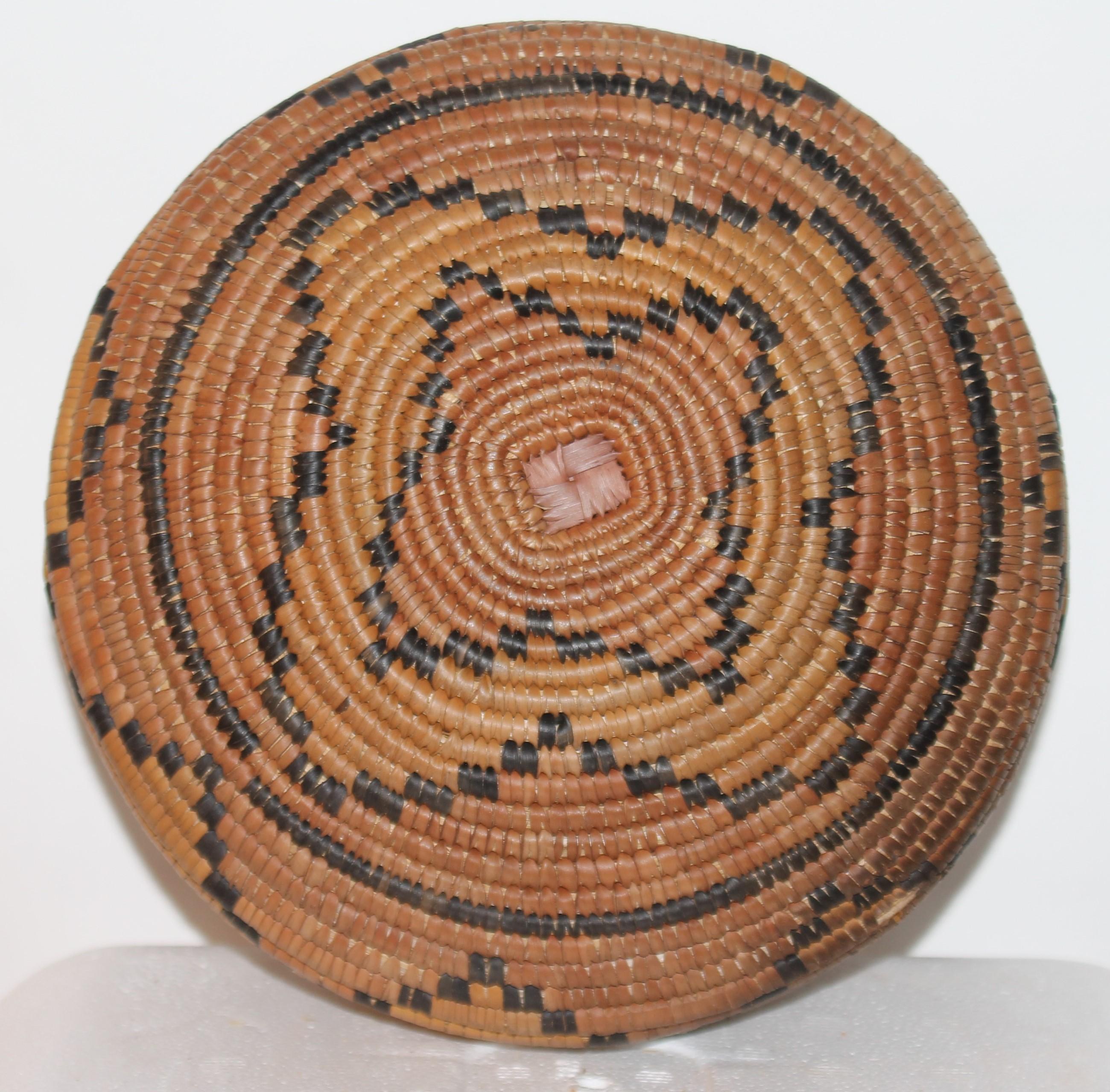 Adirondack American Indian Coiled Hand Woven Lidded Basket For Sale