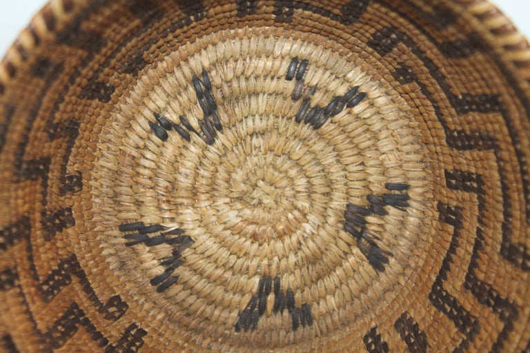 American Indian Pima Basket, Rare Form For Sale at 1stDibs
