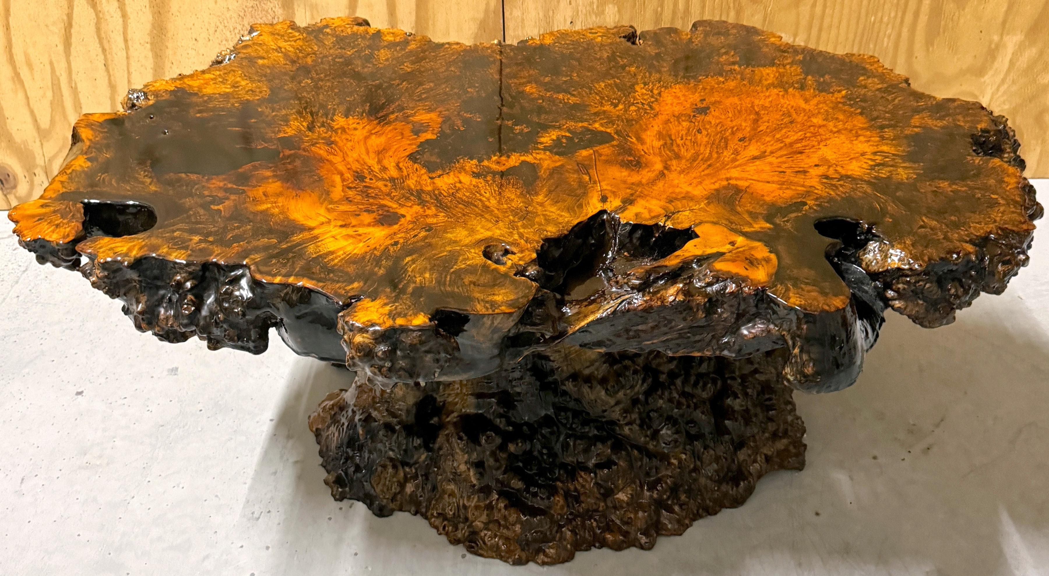 Américain Table basse en broussin laqué à bord vif américain avec base en racine en vente