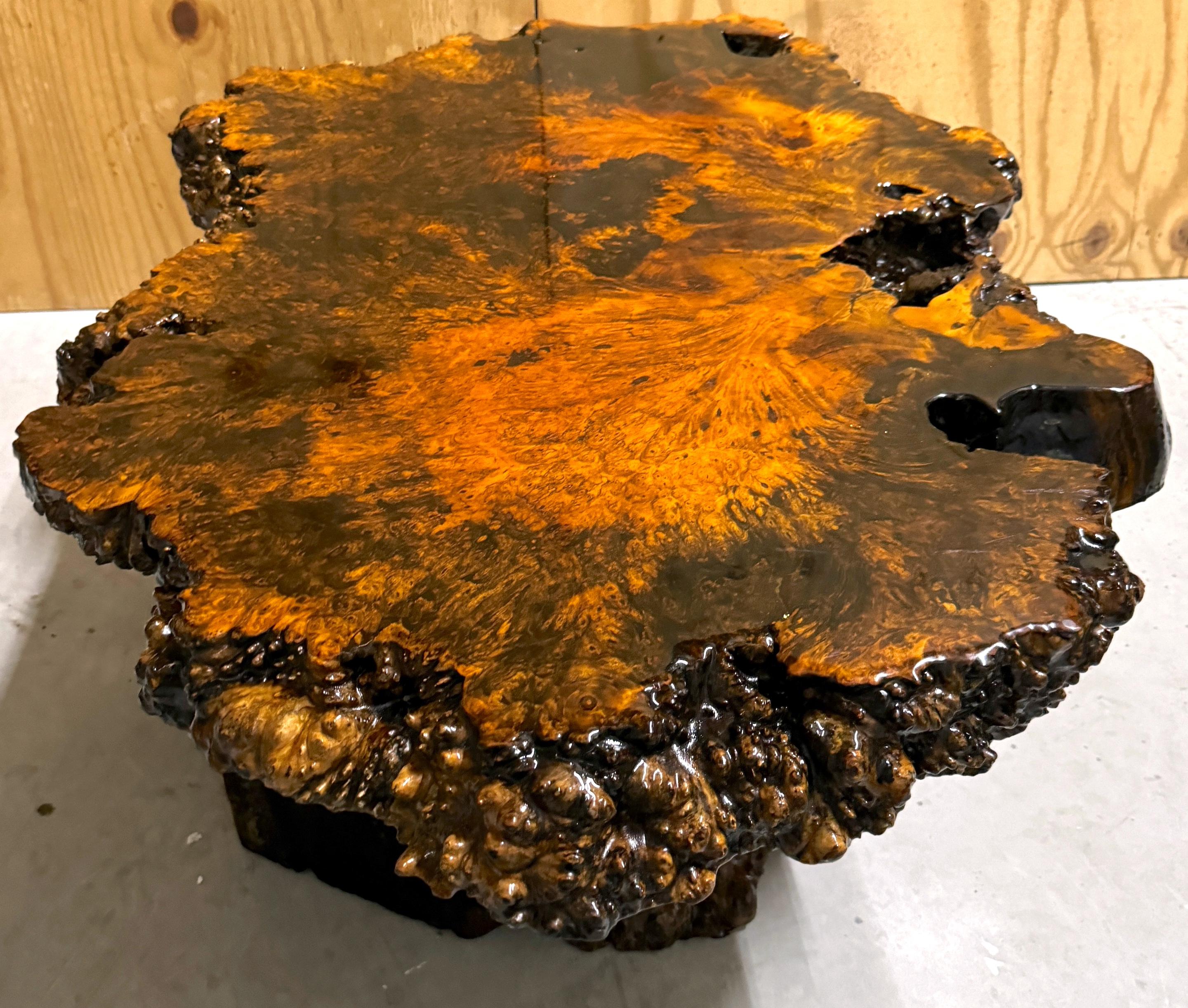 Laqué Table basse en broussin laqué à bord vif américain avec base en racine en vente