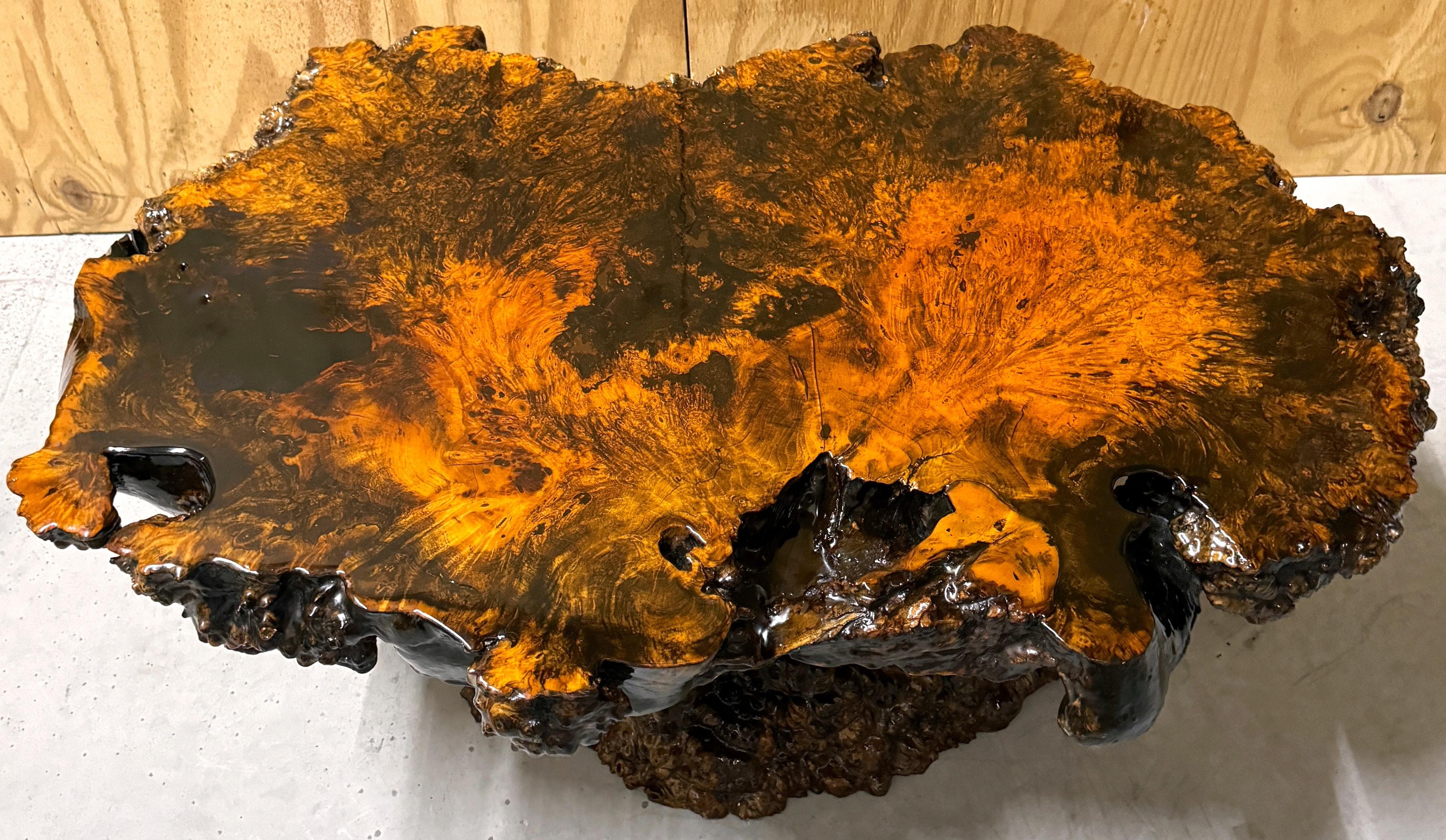 American Lacquered Live Edge Specimen Burl Coffee Table with Root Base  For Sale 1