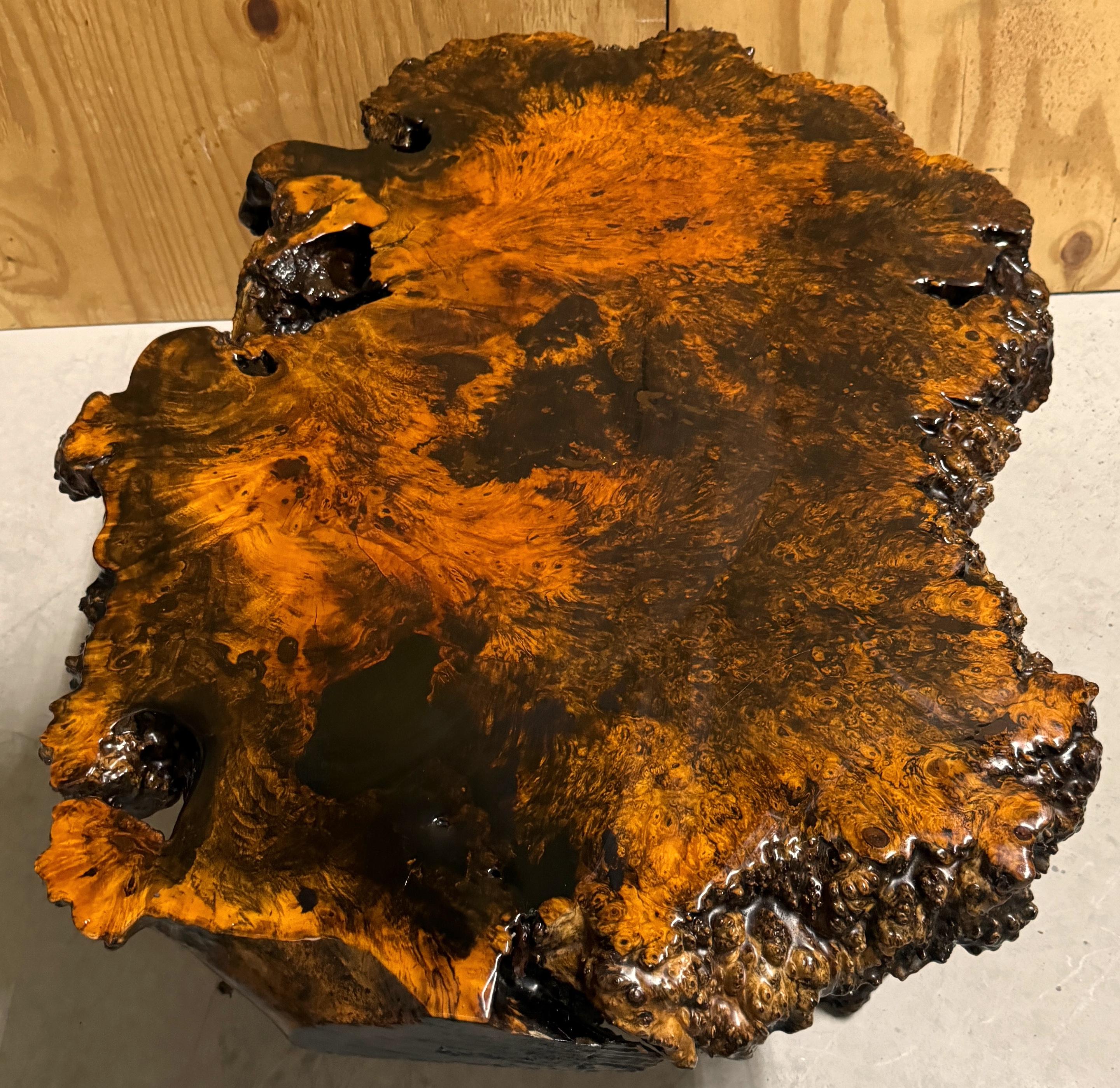 American Lacquered Live Edge Specimen Burl Coffee Table with Root Base  For Sale 3