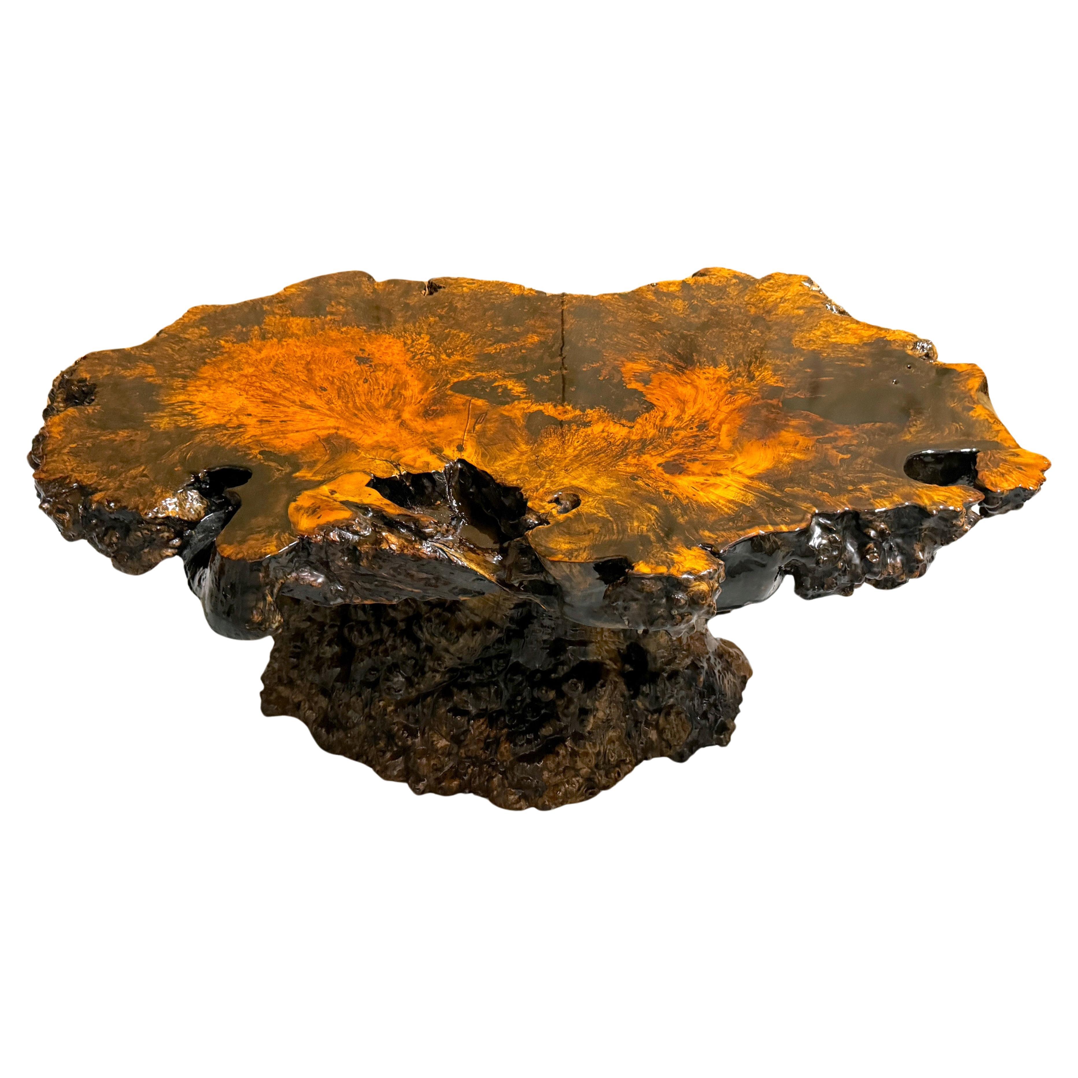 American Lacquered Live Edge Specimen Burl Coffee Table with Root Base  For Sale