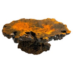 American Lacquered Live Edge Specimen Burl Coffee Table with Root Base 