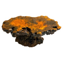 Mesa de centro de madera de burl americana lacada en vivo con base de raíz