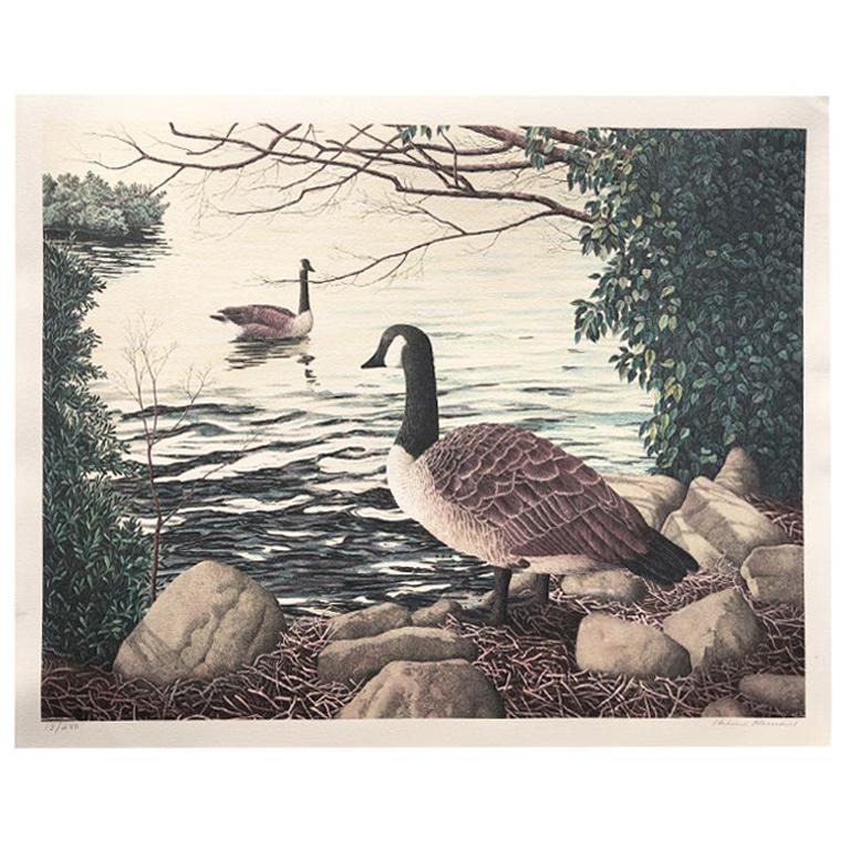 American Landscape Portrait Canadian Goose Signed Lithograph by Helen Rundell For Sale