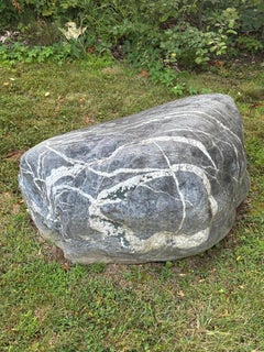 American Large Precious Bulls Eye Natural Mountain Garden Stone Unique Statement