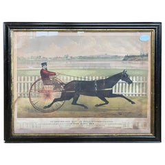 American Lithograph Print of "The Great Roan Horse Capt. McGowan", circa 1865 Antique American Lithograph Print of "The Great Roan Horse Capt. McGowan", circa 1865