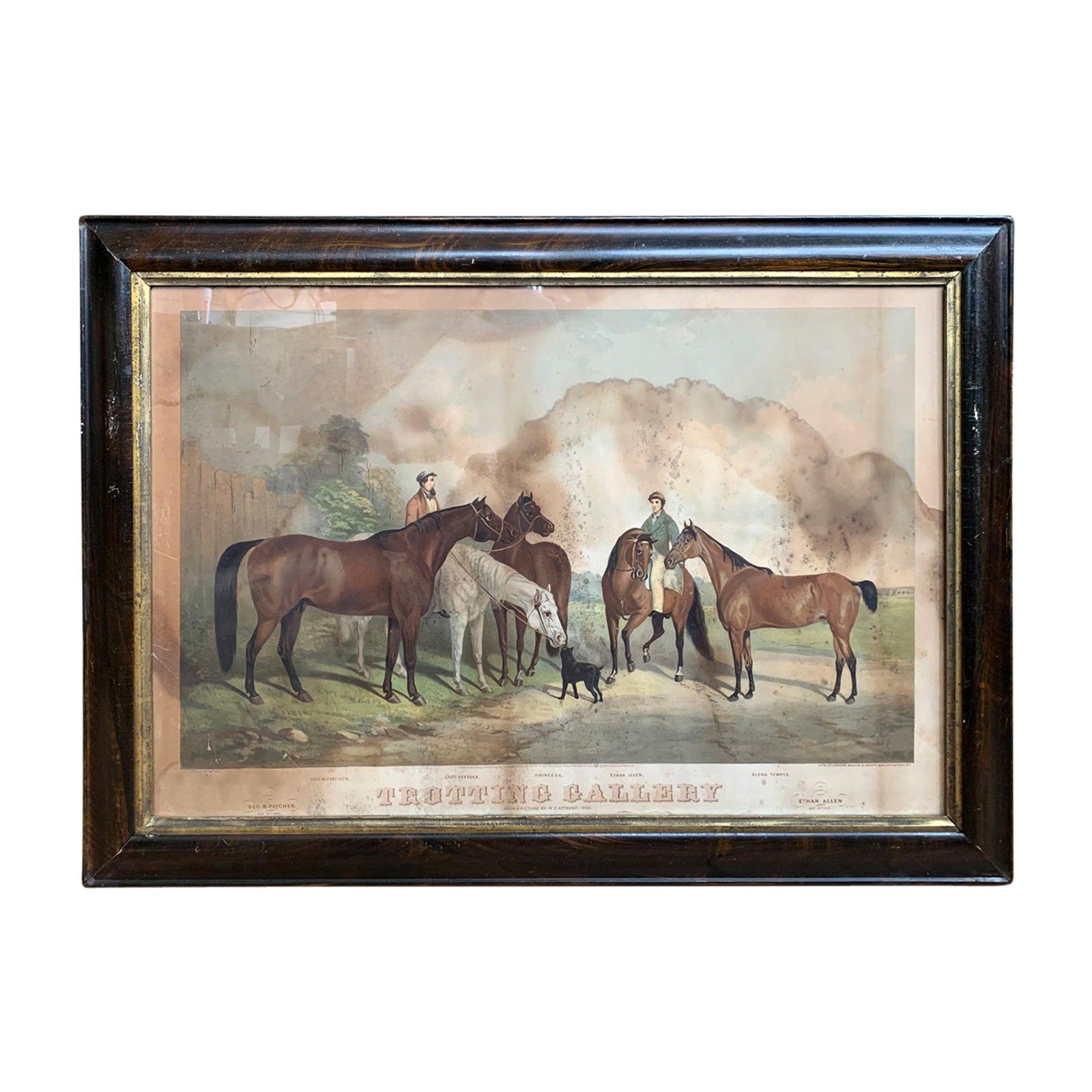 American Lithograph Print of "Trotting Gallery" by Sarony Major & Knapp