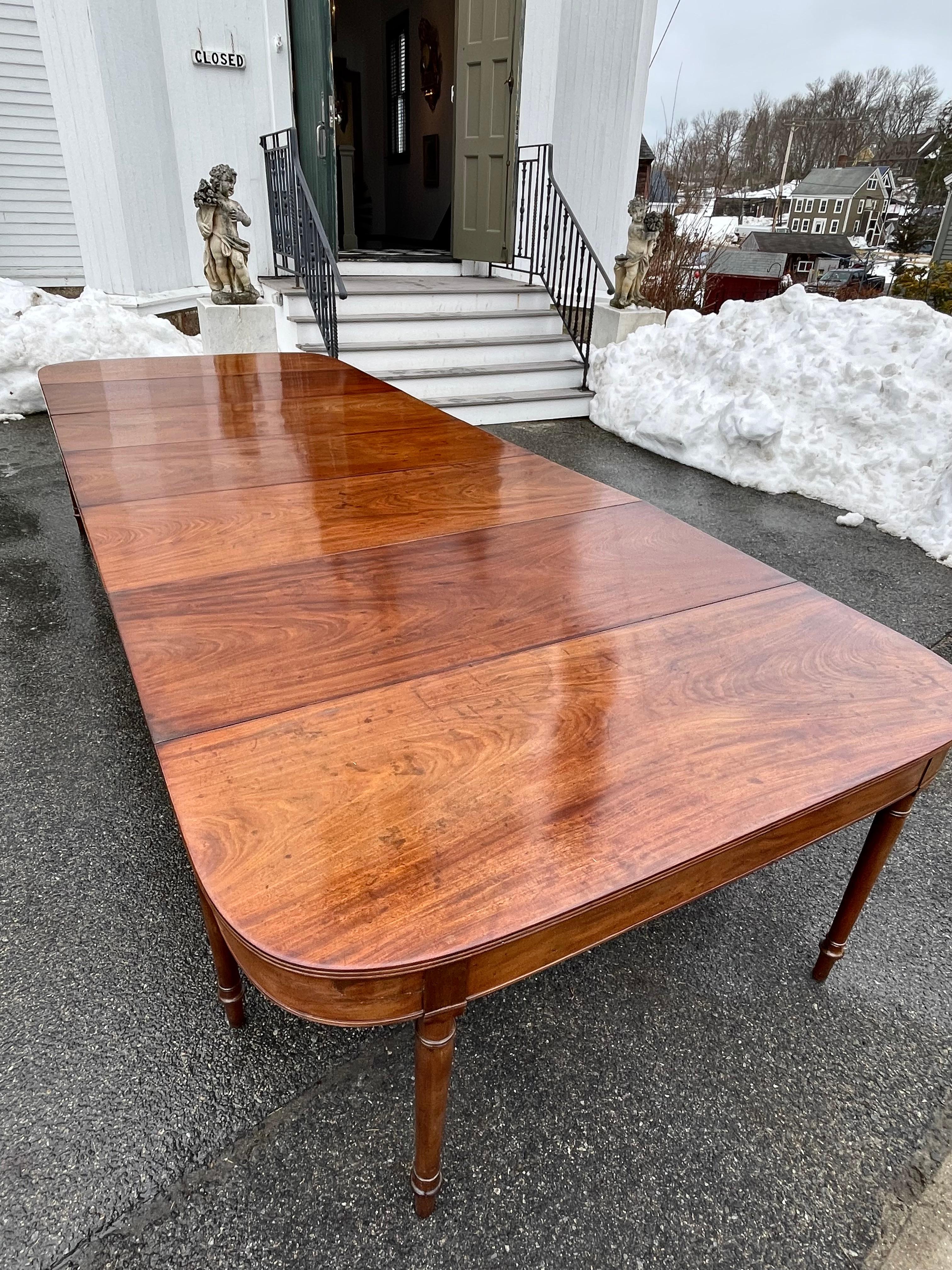 Mid-atlantic three-part late Federal mahogany Banquet table, a massive example, with center fall leaf section flanked by matching D-shaped ends, each with hinged fall leaf, top with reeded edge profile, all raised on ring-turned legs. Oak and pine