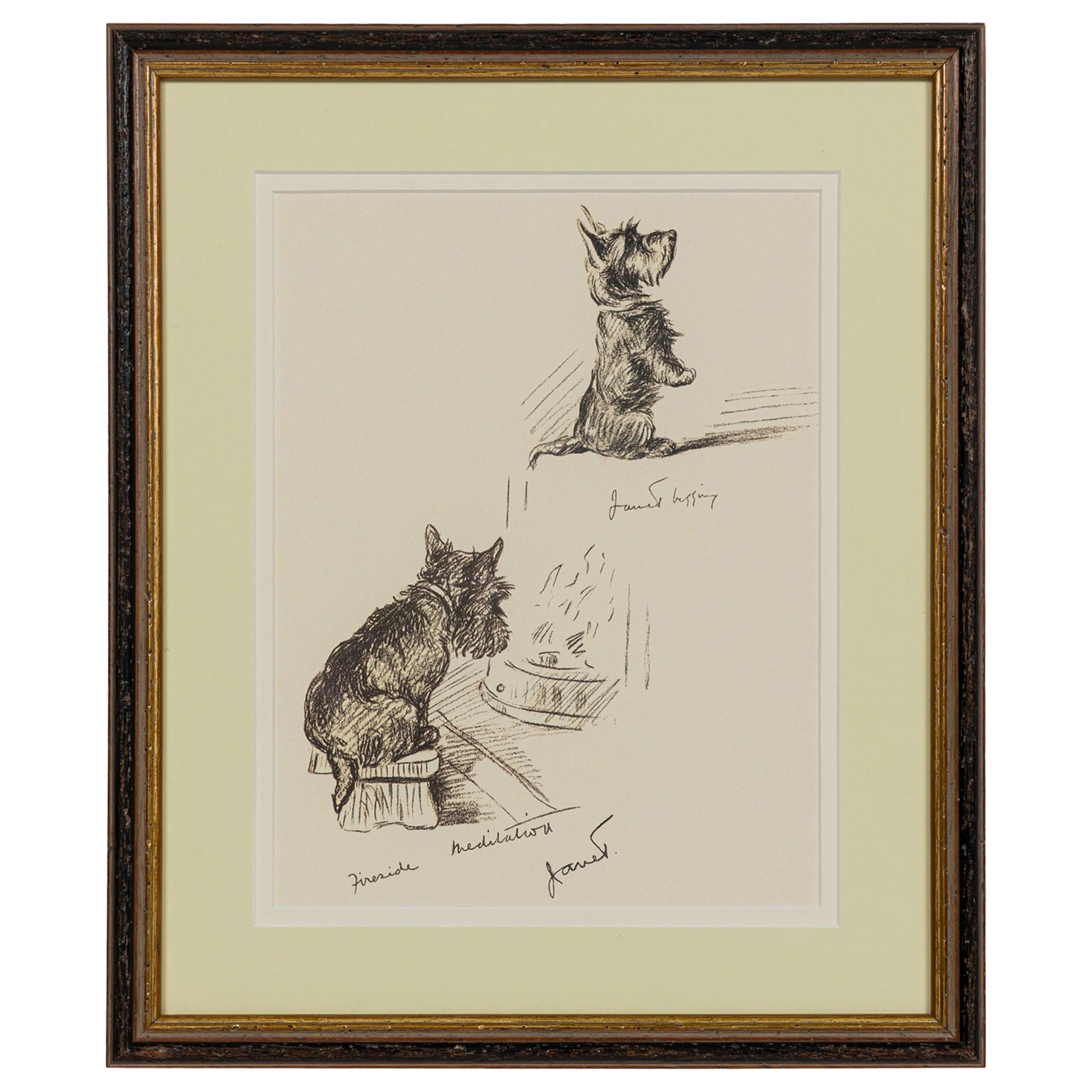 American Mid-Century Framed Print of a Scottish Terrier