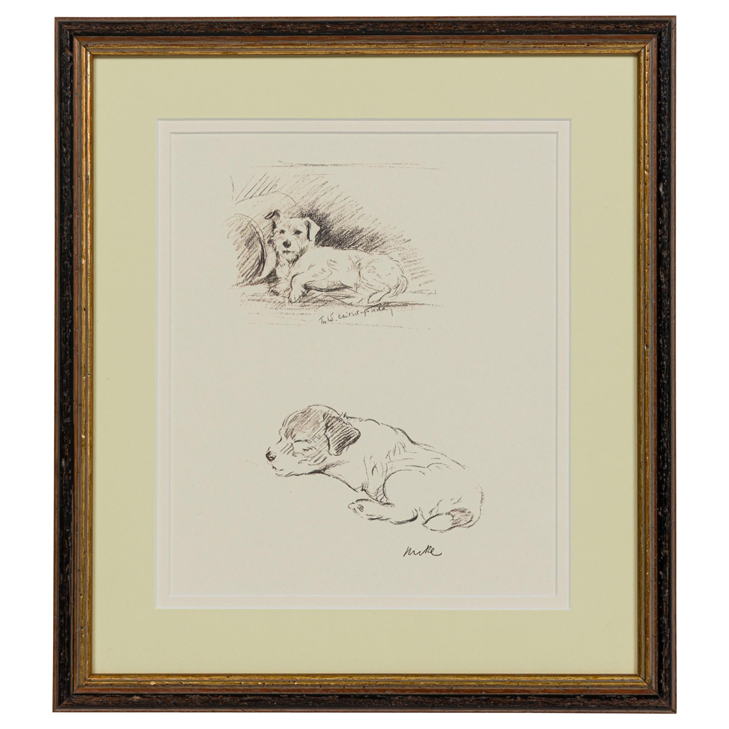 American Mid-Century Framed Print of a Scottish Terrier