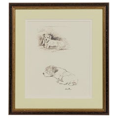 American Mid-Century Framed Print of a Scottish Terrier