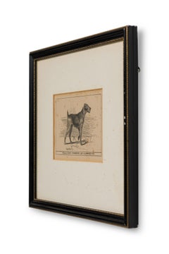 American Mid-Century Framed Print of an Airdale-Terrier