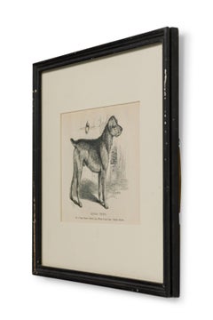 American Mid-Century Framed Print of an Airdale-Terrier