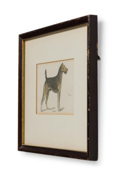 American Mid-Century Framed Print of an Airdale-Terrier
