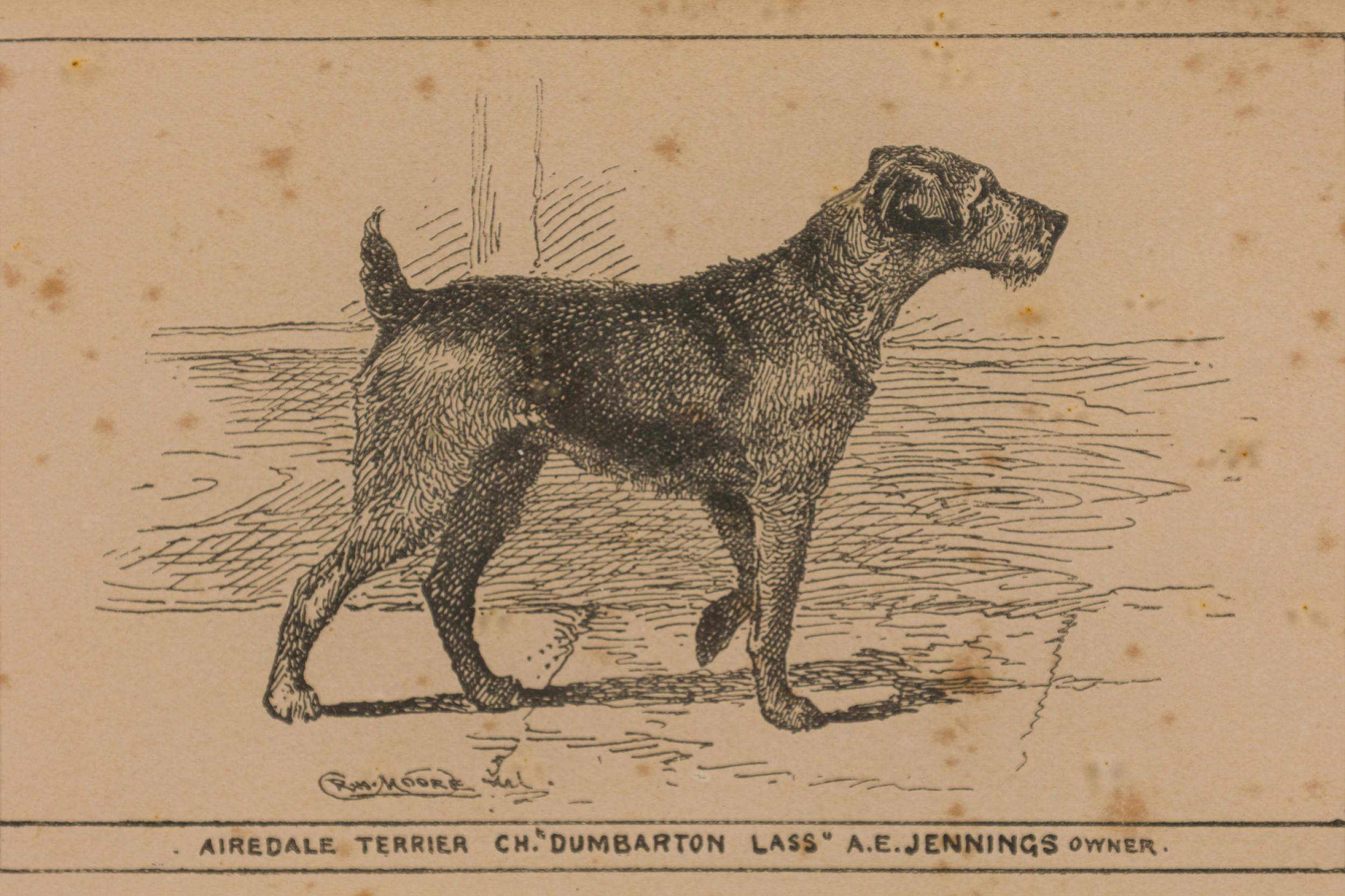 Mid-Century Modern Gravure américaine encadrée du milieu du siècle représentant un Airdale-Terrier en vente