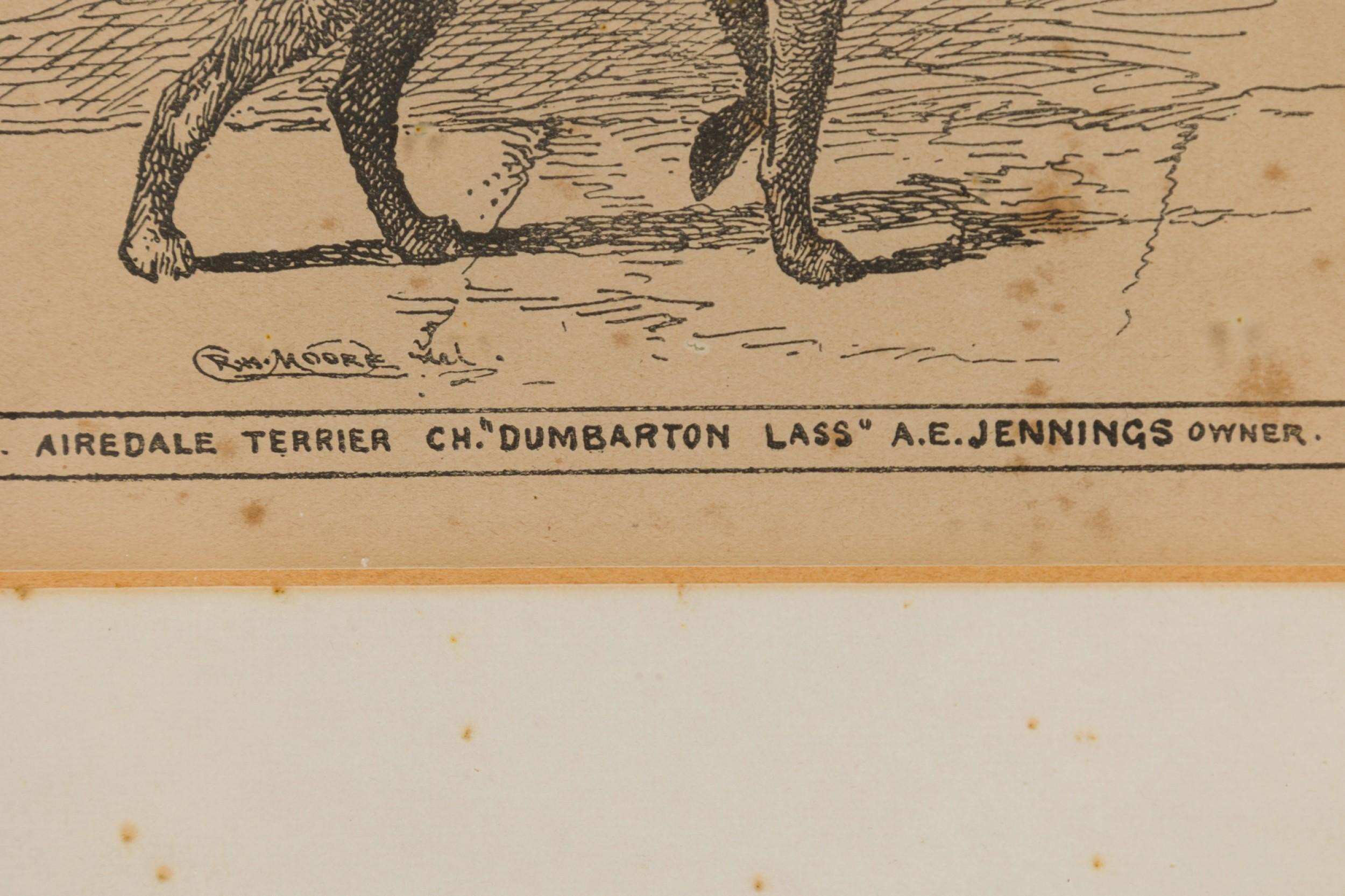 Doré Gravure américaine encadrée du milieu du siècle représentant un Airdale-Terrier en vente