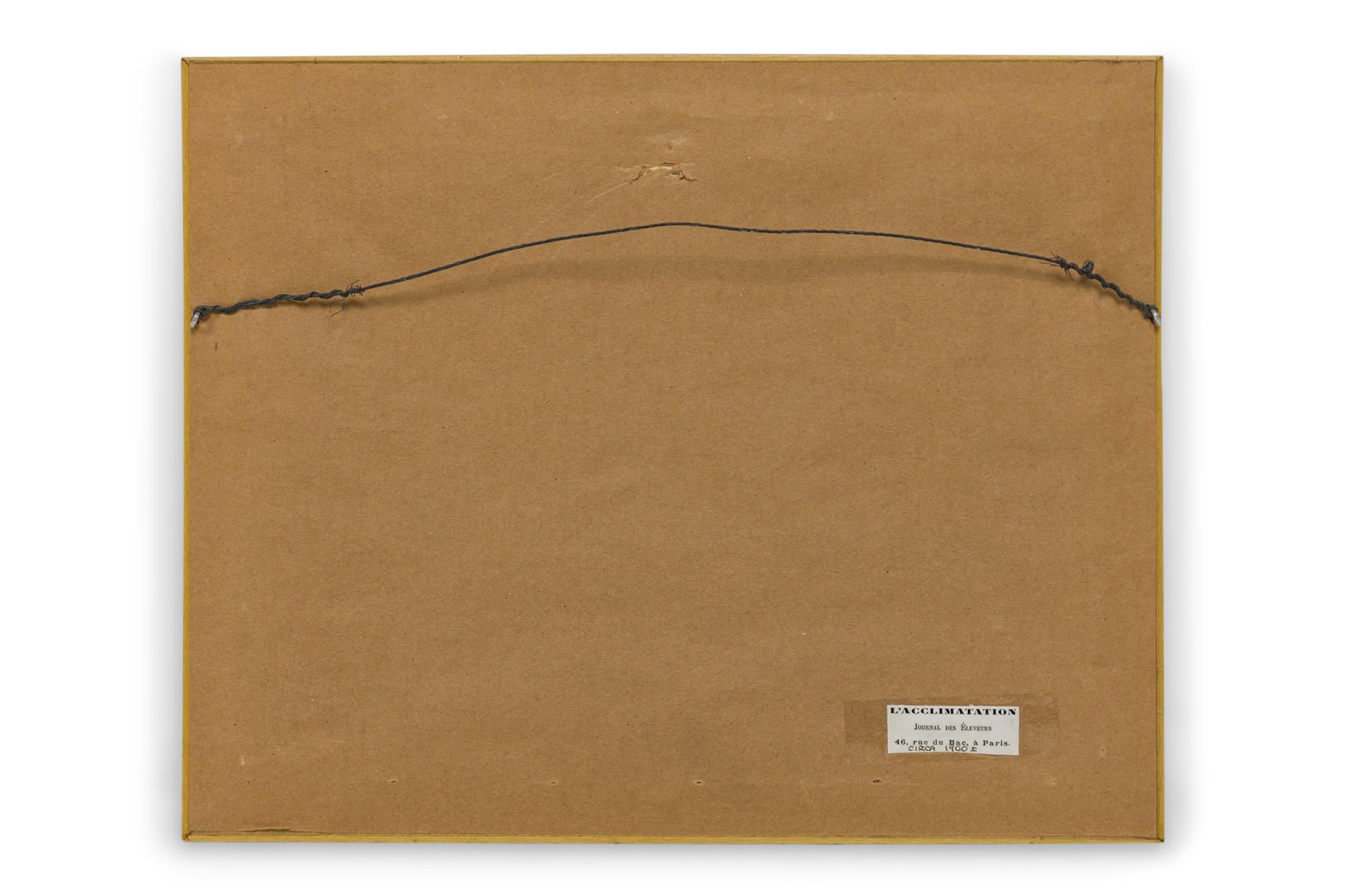 Or Gravure américaine encadrée du milieu du siècle représentant un Airdale-Terrier en vente