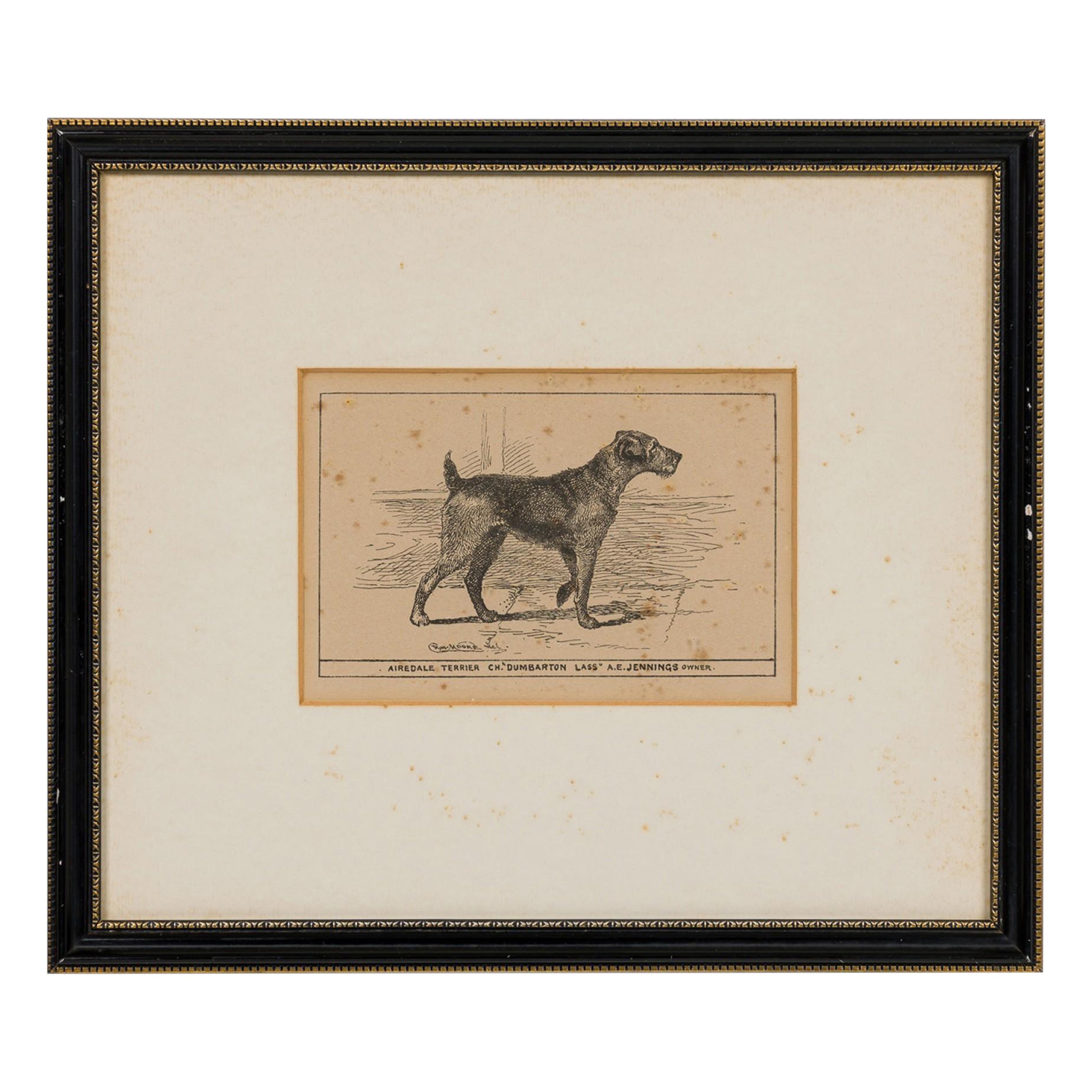 American Mid-Century Framed Print of an Airdale-Terrier
