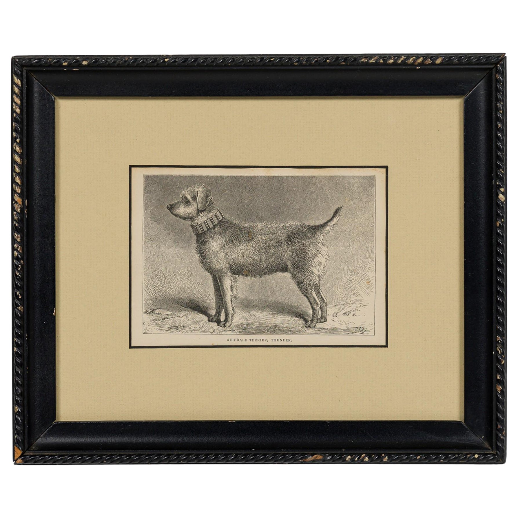 American Mid-Century Framed Print of an Airdale-Terrier