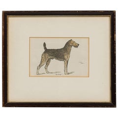 American Mid-Century Framed Print of an Airdale-Terrier