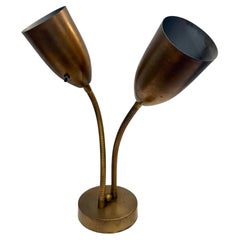 American Mid Century Modern Atomic Age Brushed Brass Gooseneck Desk Table Lamp