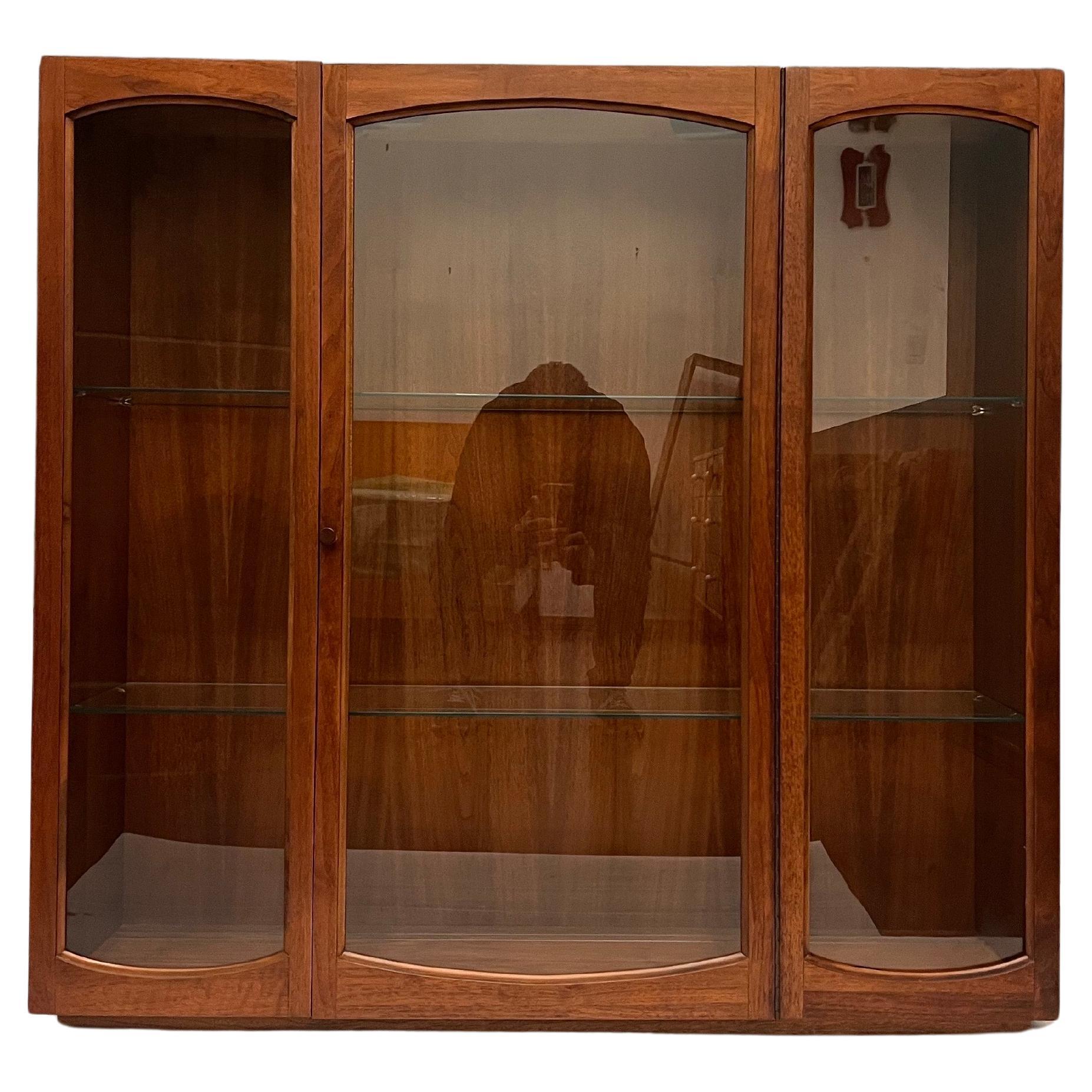 Mid-Century Modern American Mid Century Walnut & Glass Lighted Floating Wall Cabinet/Bookcase en vente