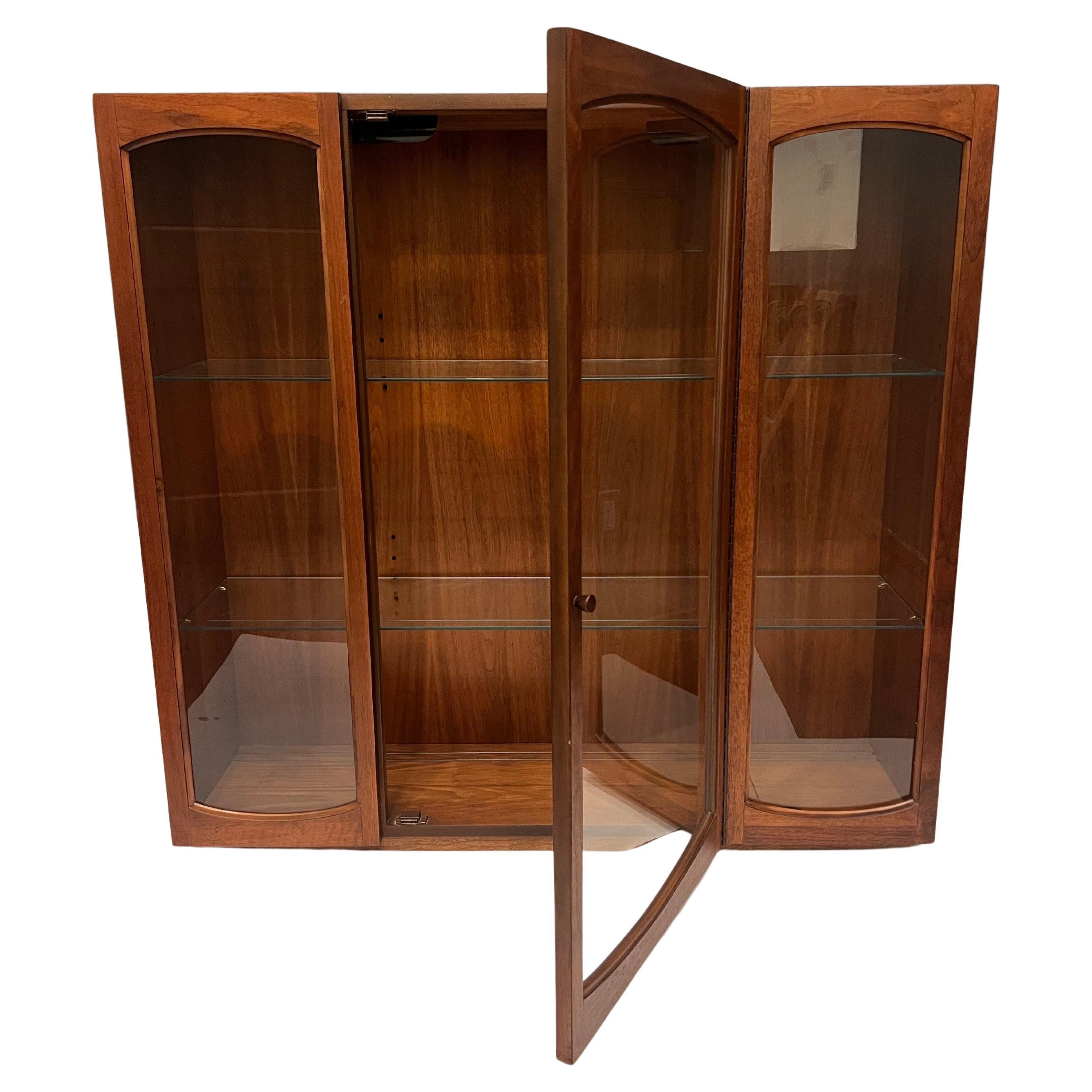 Américain American Mid Century Walnut & Glass Lighted Floating Wall Cabinet/Bookcase en vente