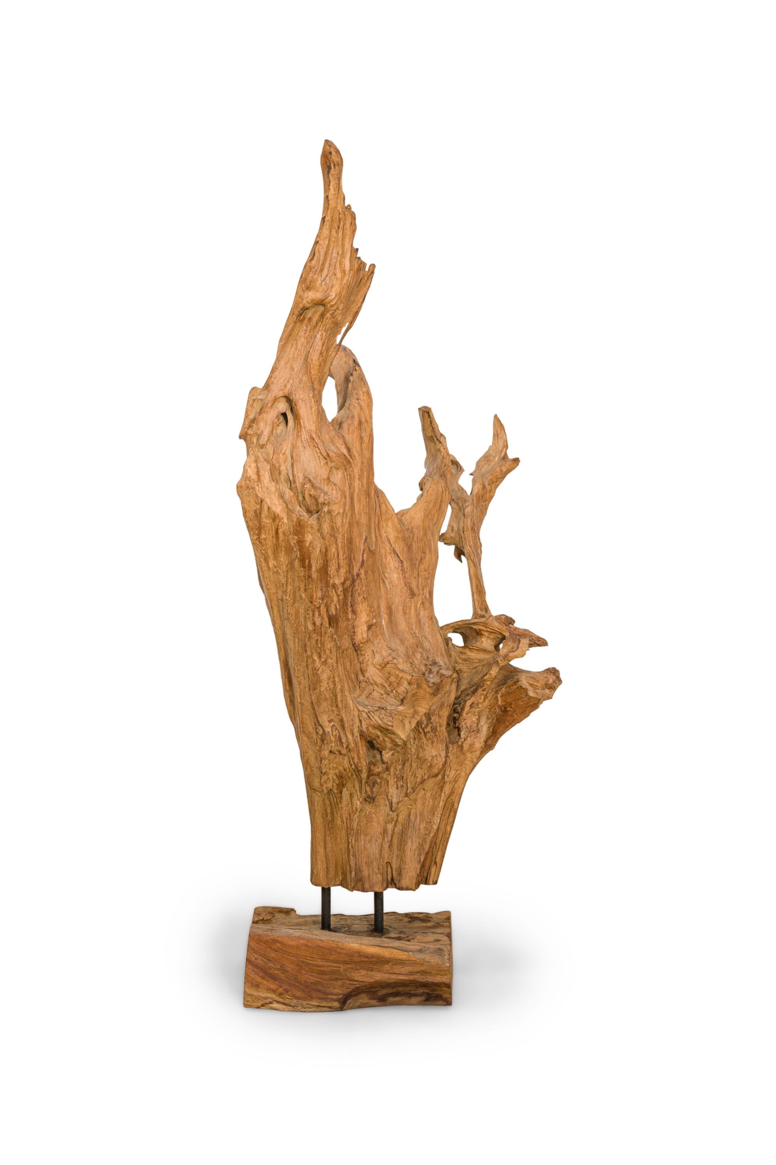 Scultura di radice di albero di teak asiatico selvaggio della metà del secolo scorso, sostenuta da due aste di ferro su una base di radice