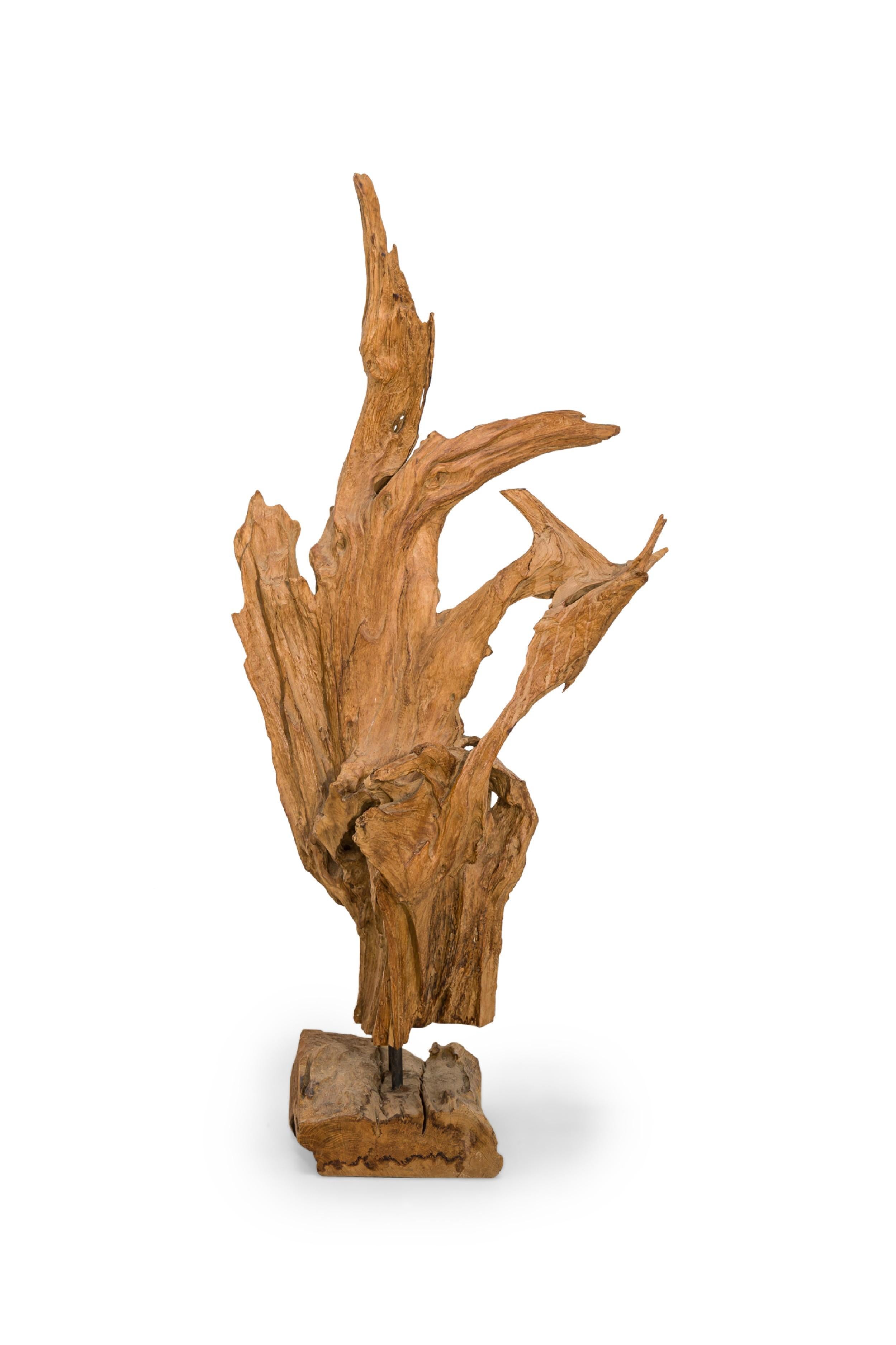 Mid-Century moderno Scultura di radici di albero di teak asiatico selvaggio della metà del secolo scorso in vendita