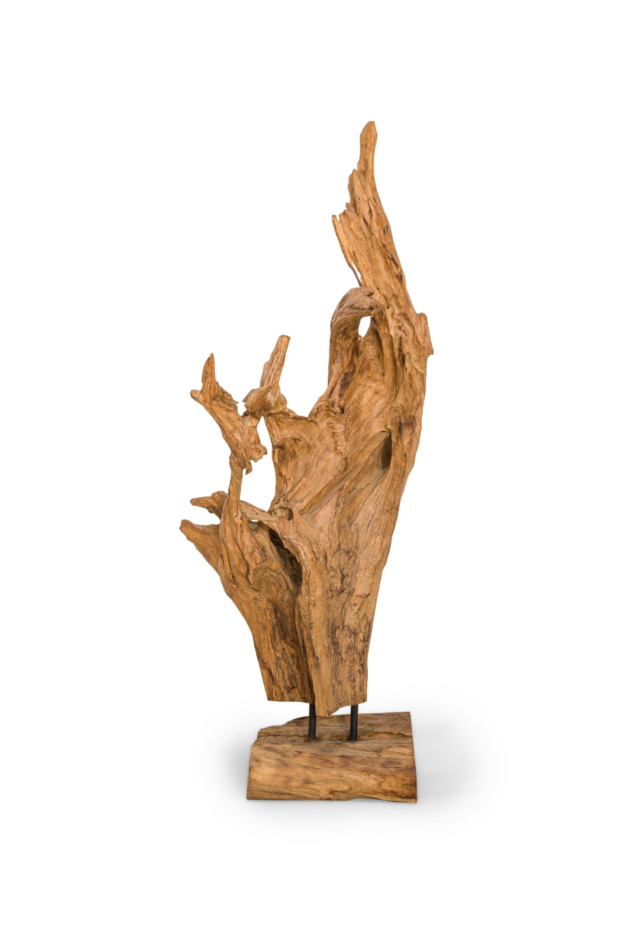 Americano Scultura di radici di albero di teak asiatico selvaggio della metà del secolo scorso in vendita