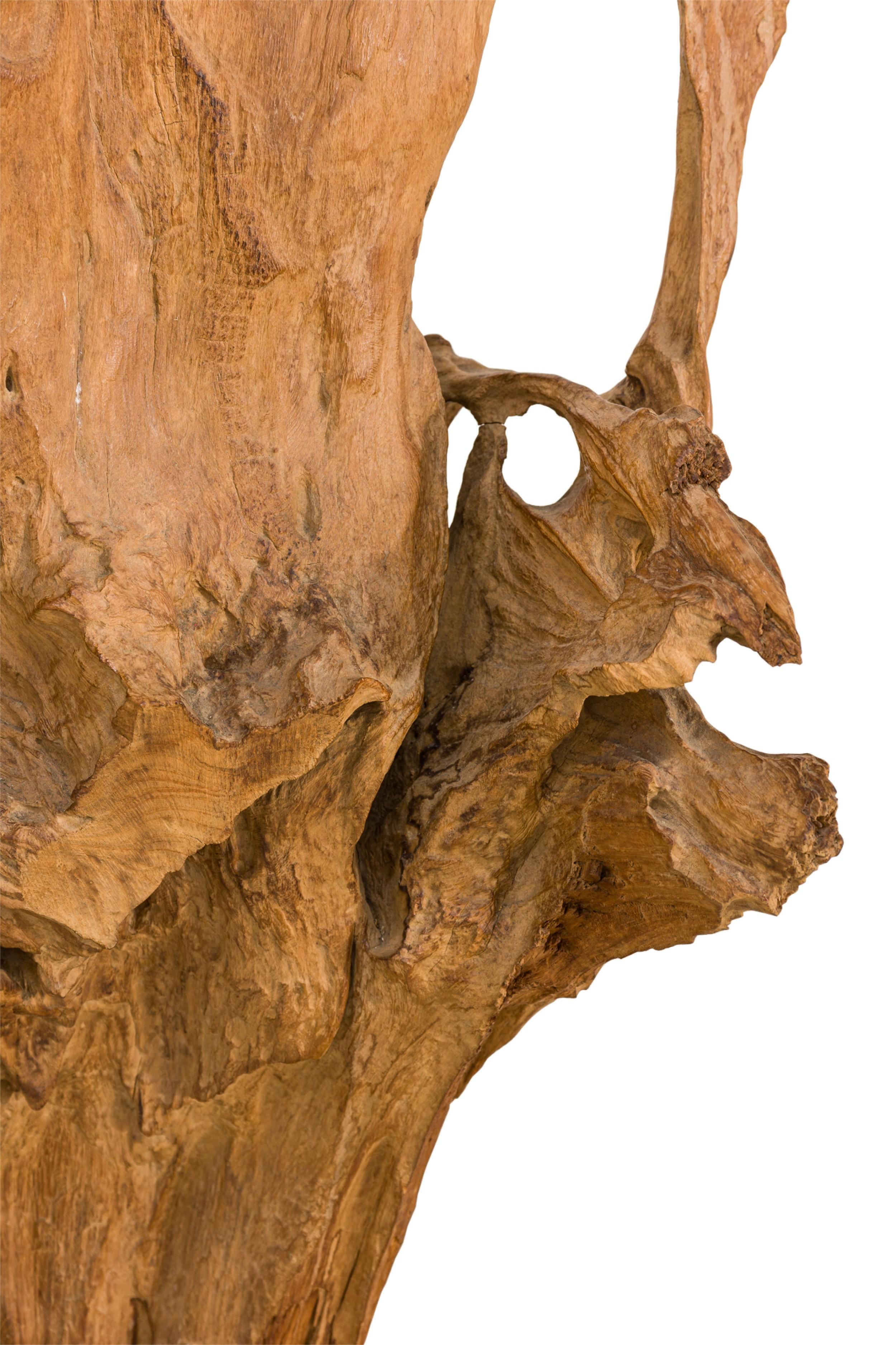 Scultura di radici di albero di teak asiatico selvaggio della metà del secolo scorso In condizioni buone in vendita a Queens, NY