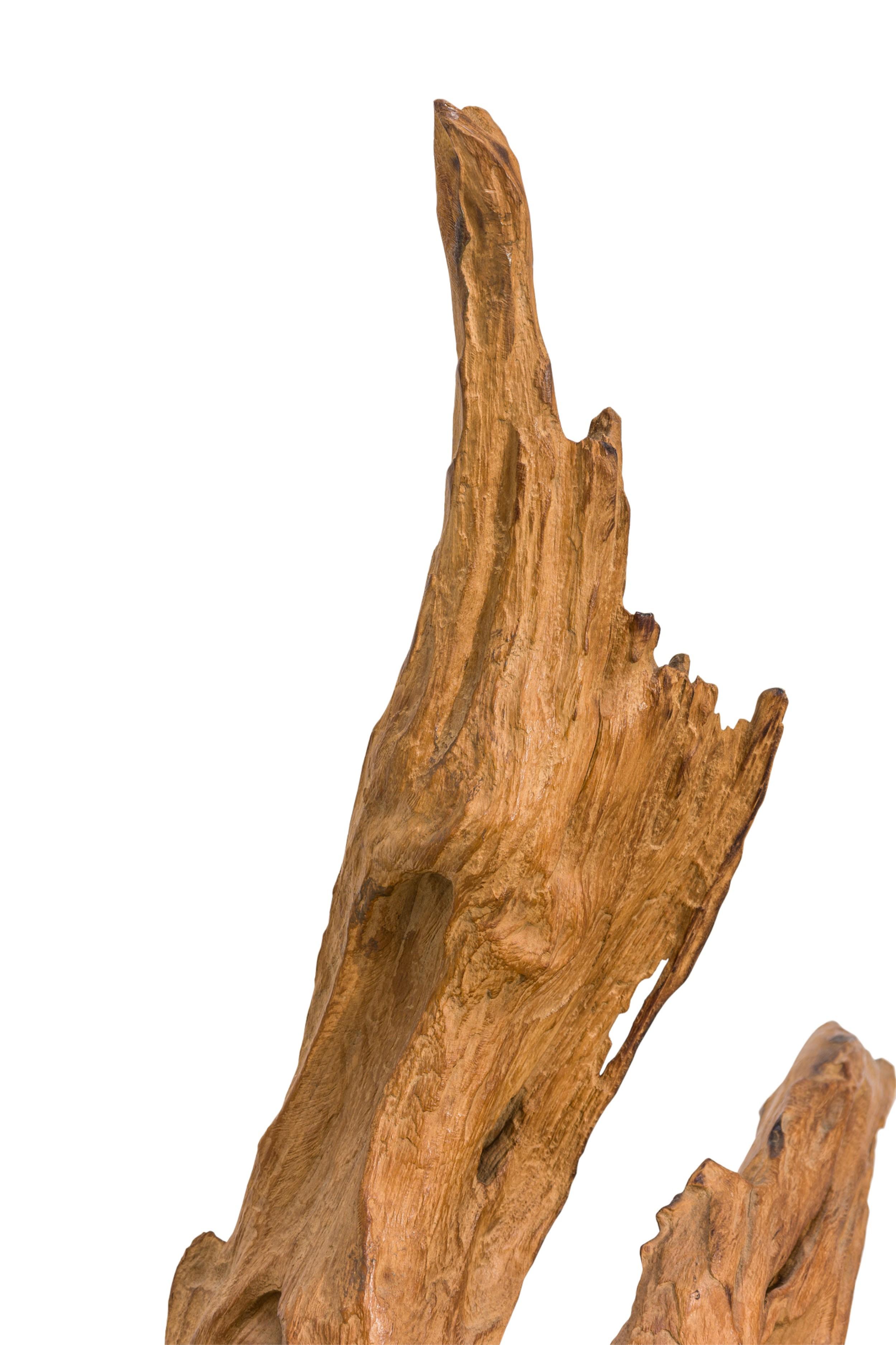 XX secolo Scultura di radici di albero di teak asiatico selvaggio della metà del secolo scorso in vendita