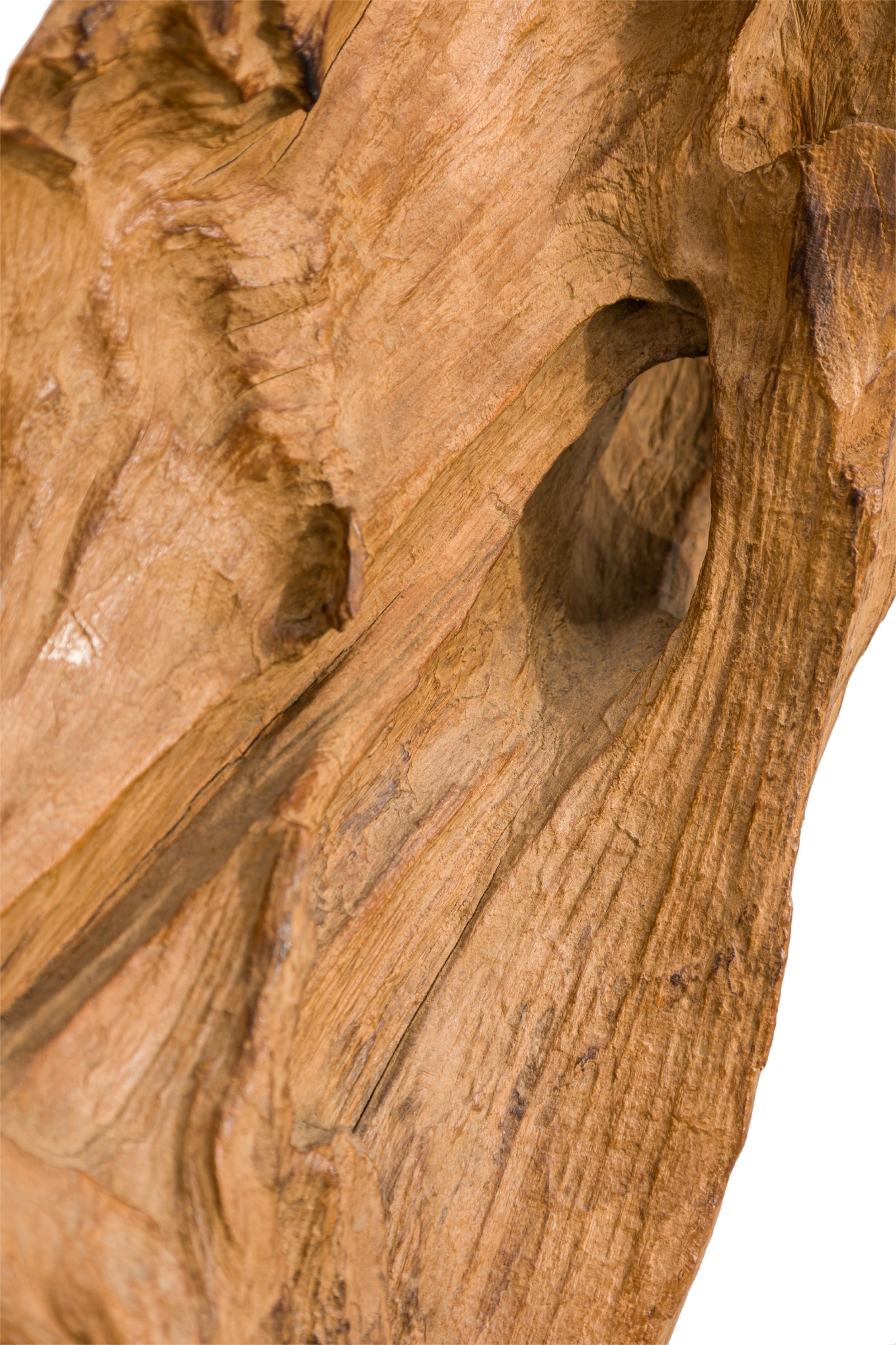 Scultura di radici di albero di teak asiatico selvaggio della metà del secolo scorso in vendita 1